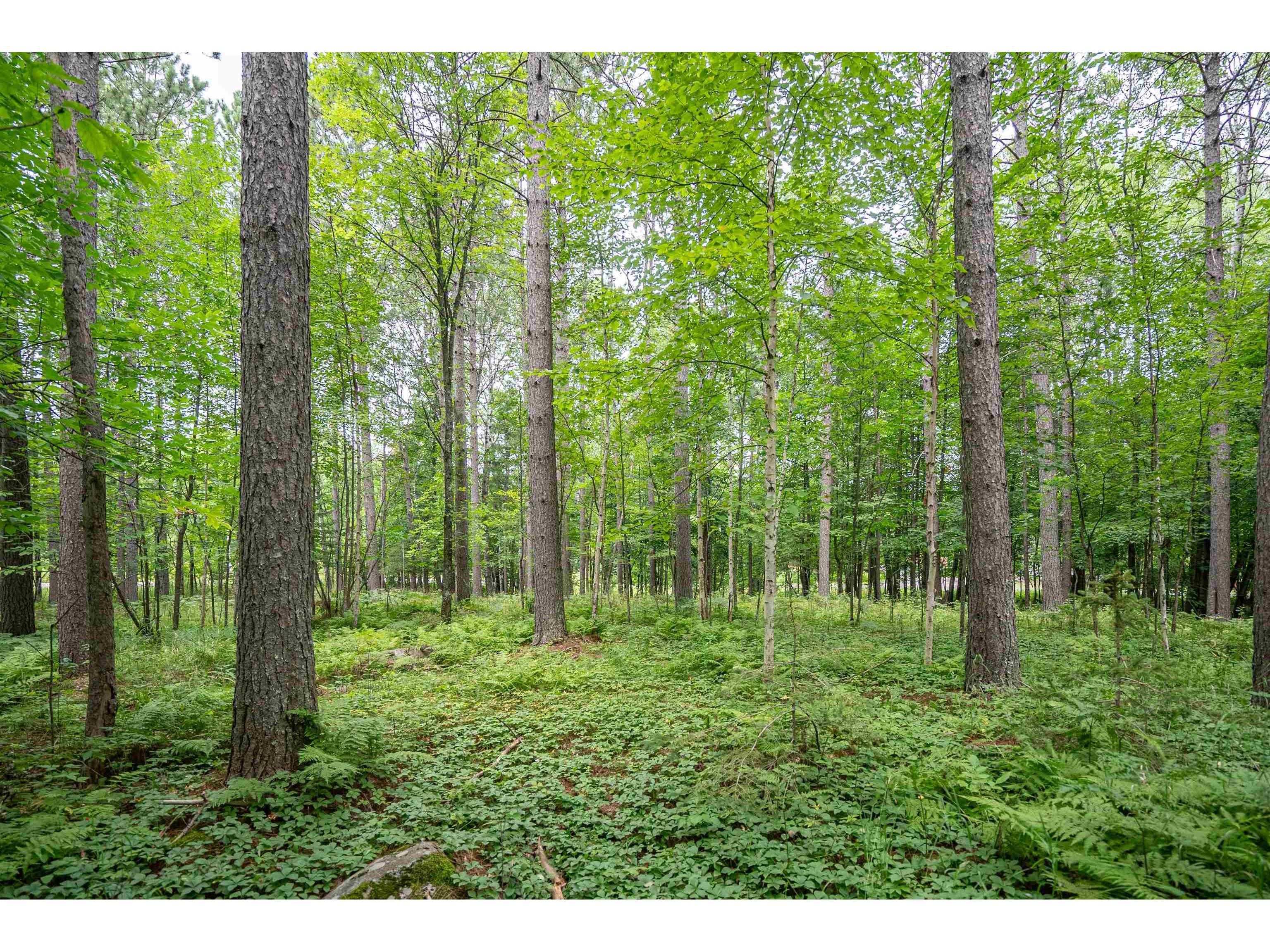 51xx Lindahl Rd Duluth MN 55811 6120486 image3