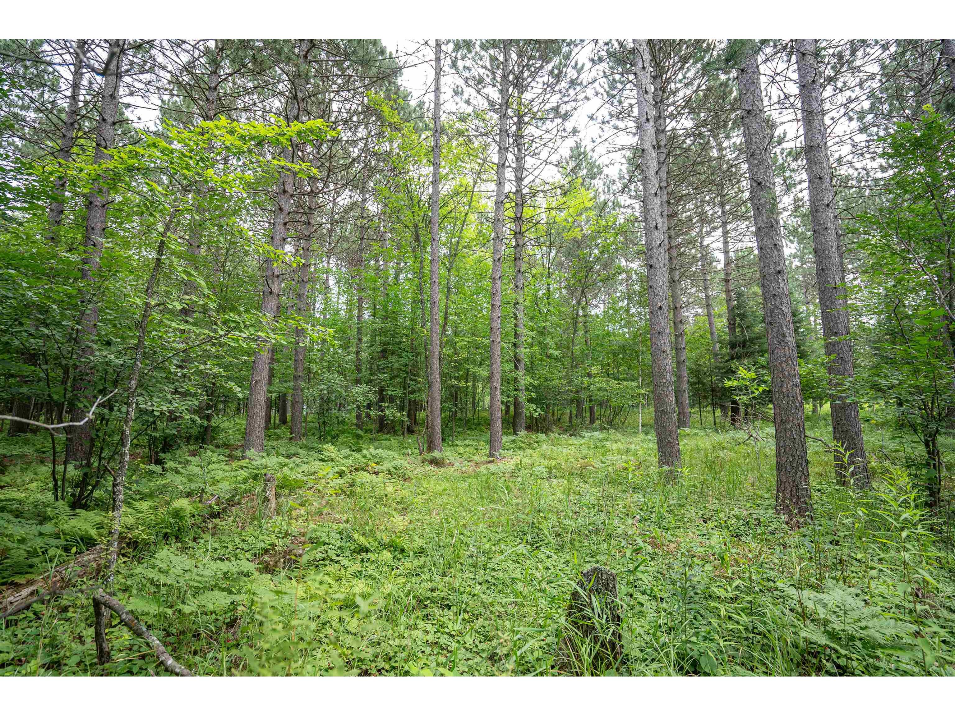 51xx Lindahl Rd Duluth MN 55811 6120486 image4