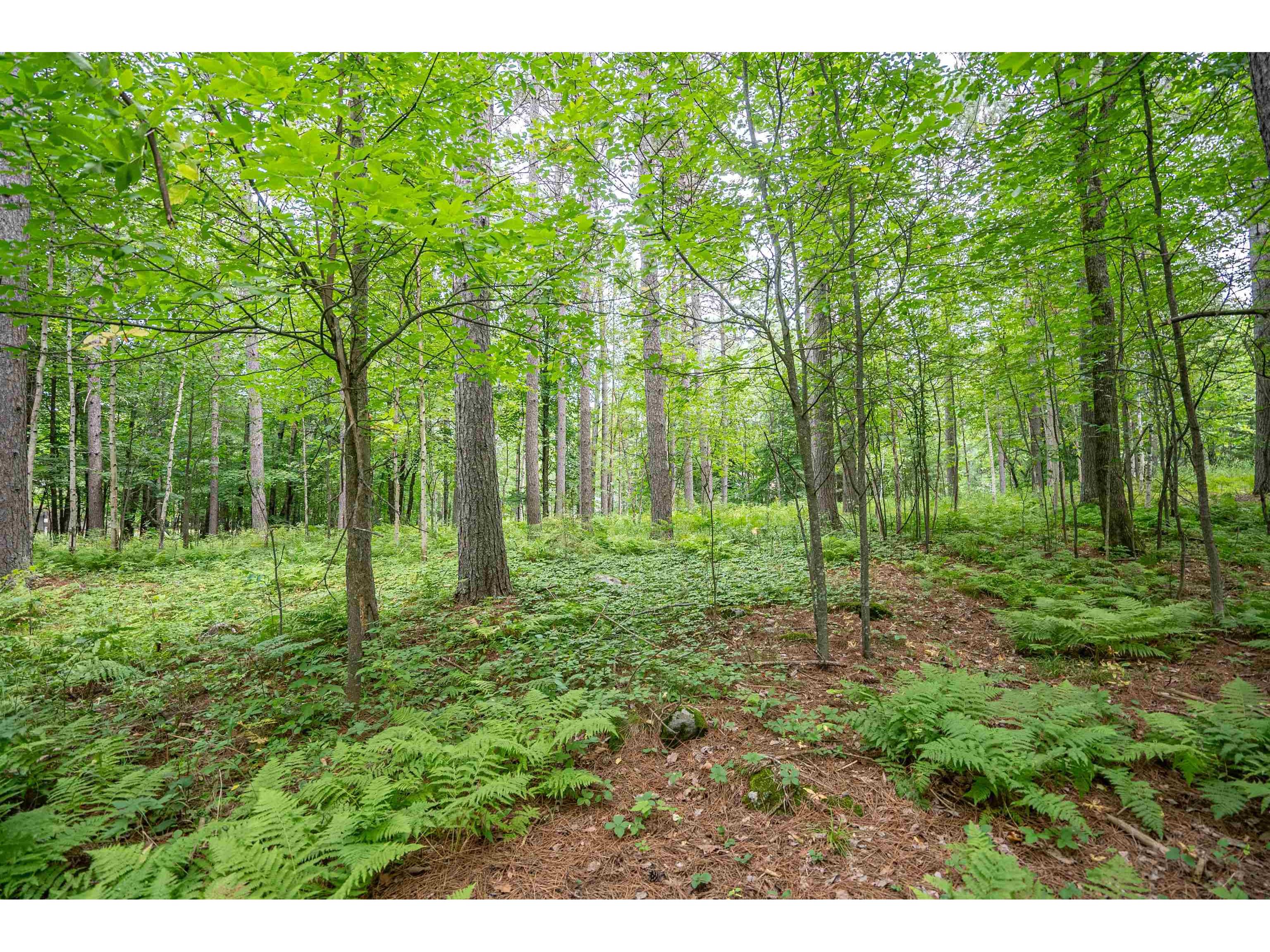 51xx Lindahl Rd Duluth MN 55811 6120486 image6