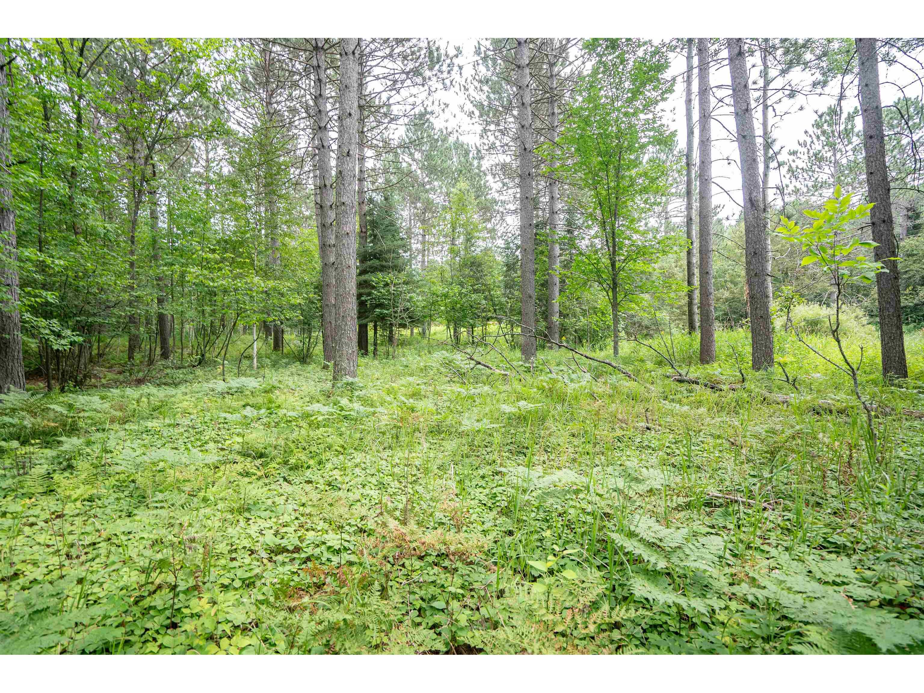 51xx Lindahl Rd Duluth MN 55811 6120486 image7