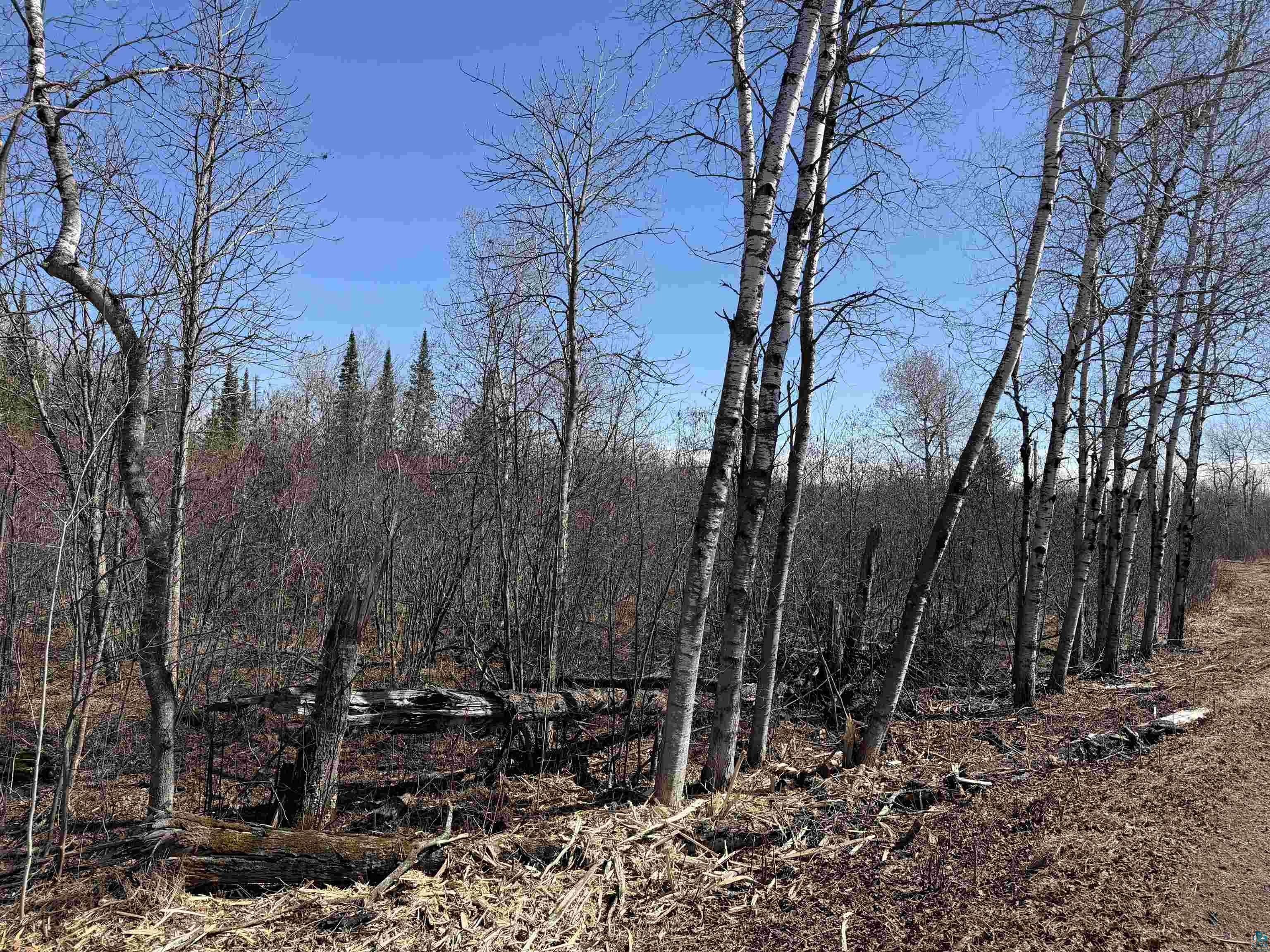51xx Samuelson Rd Duluth MN 55811 6124718 image1