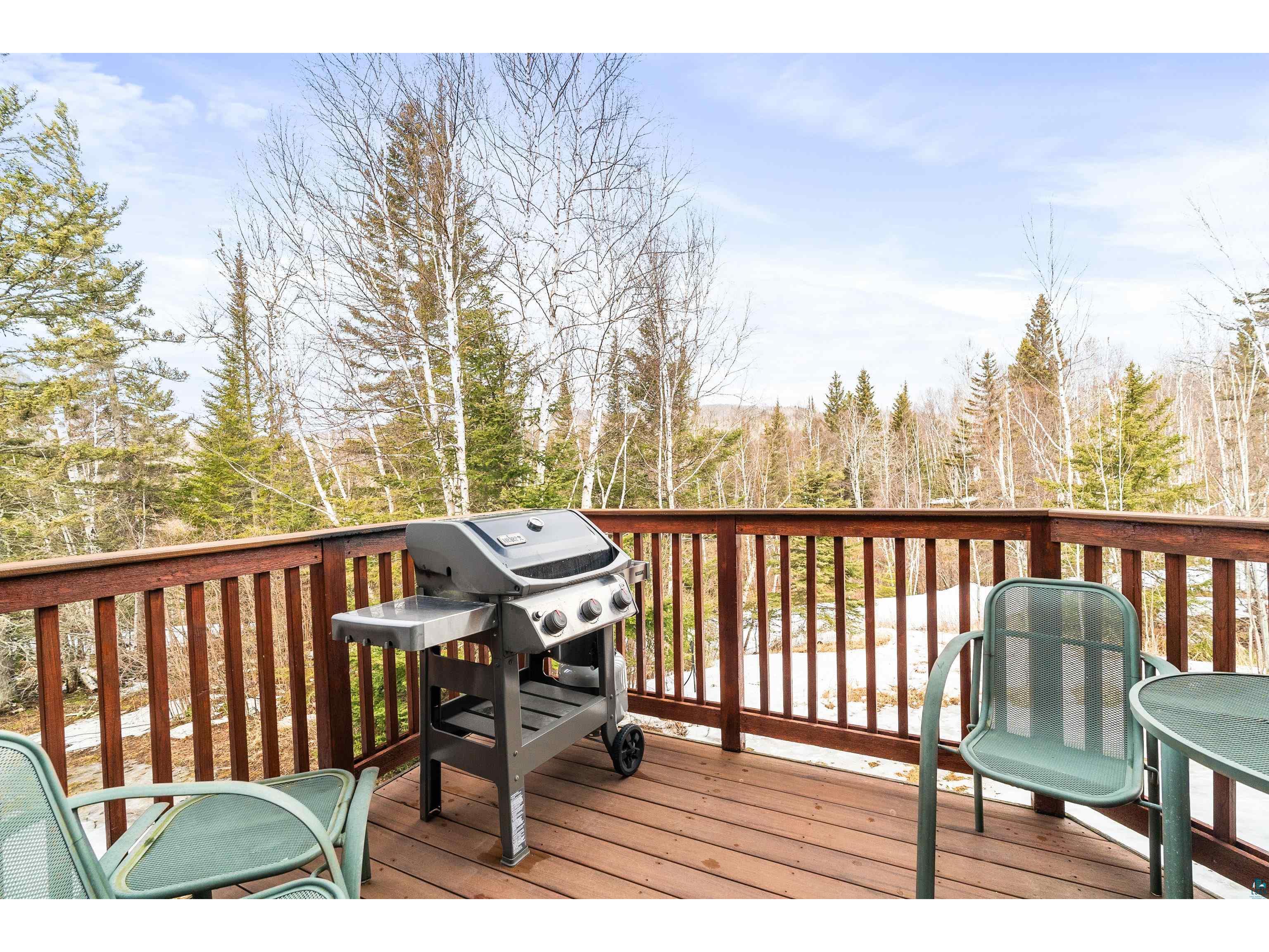 521 Moose Mountain Dr Lutsen MN 55612 6118806 image16