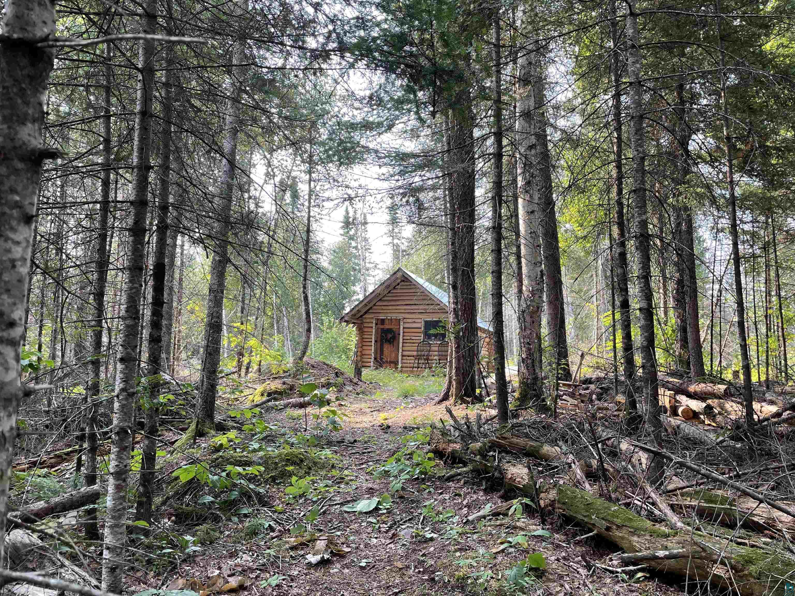 522 Dunka River Rd Isabella MN 55607 6109903 image1