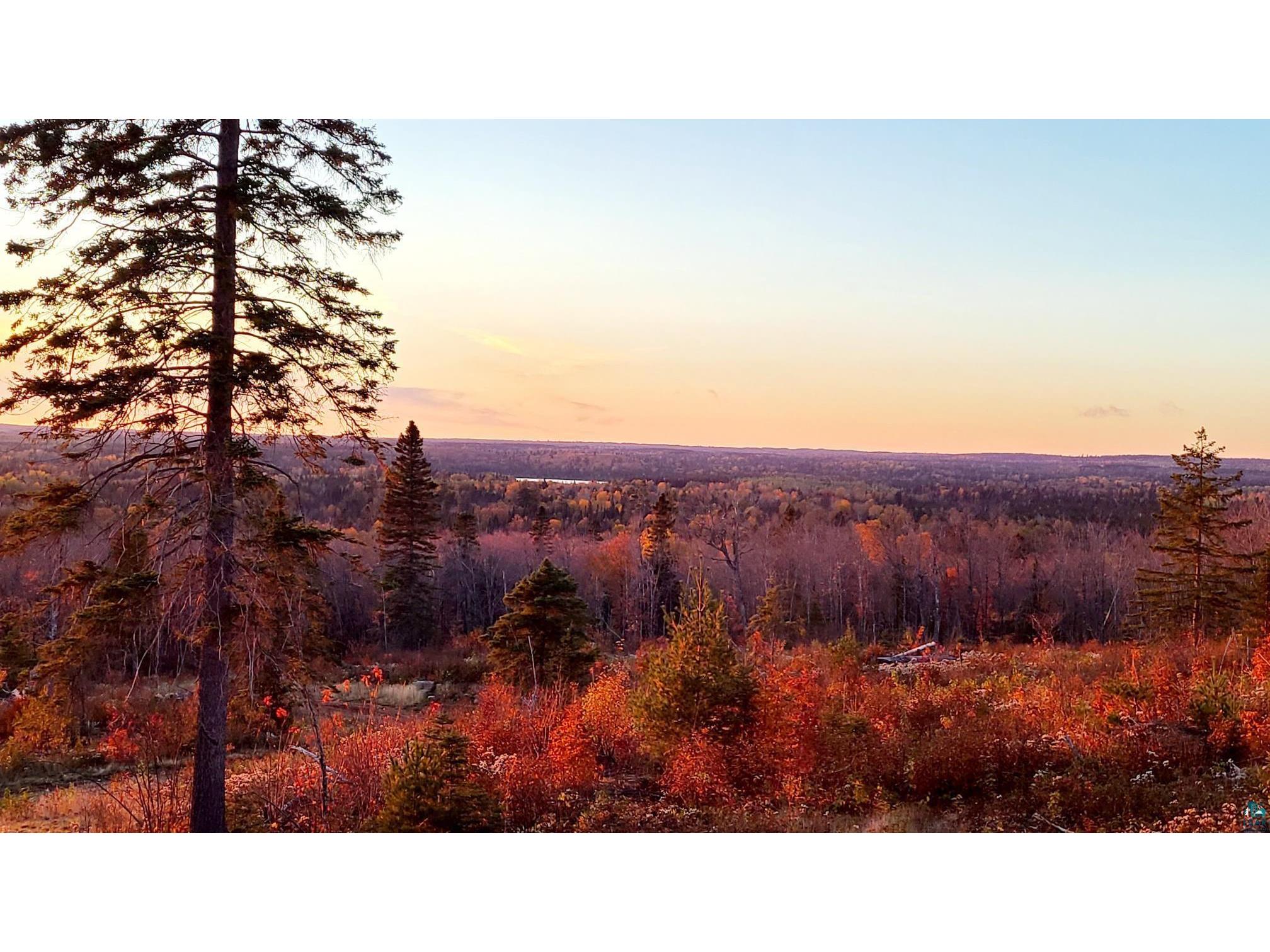 5241 Hut Two Rd Finland MN 55603 6118337 image13