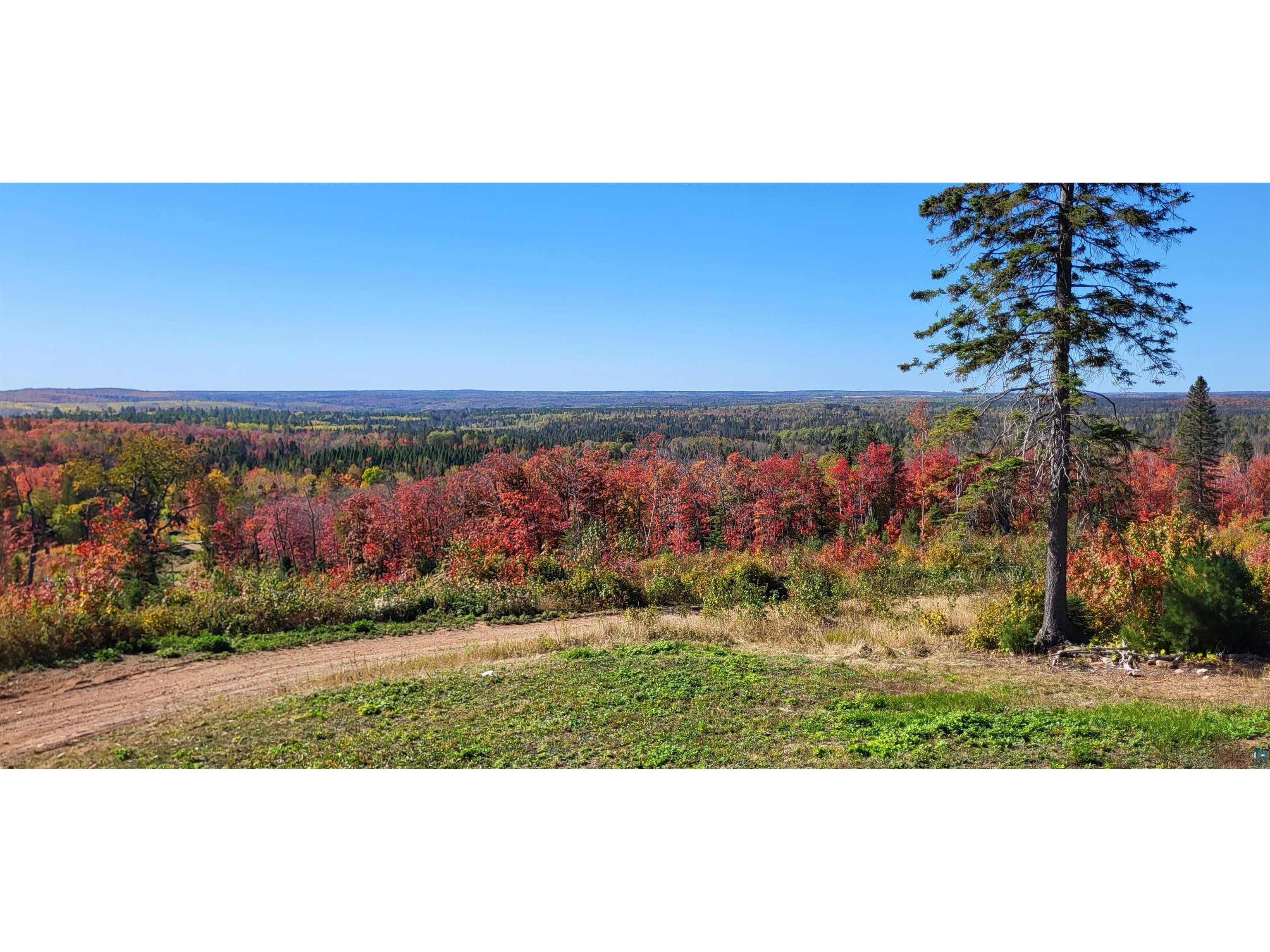 5241 Hut Two Rd Finland MN 55603 6118337 image31