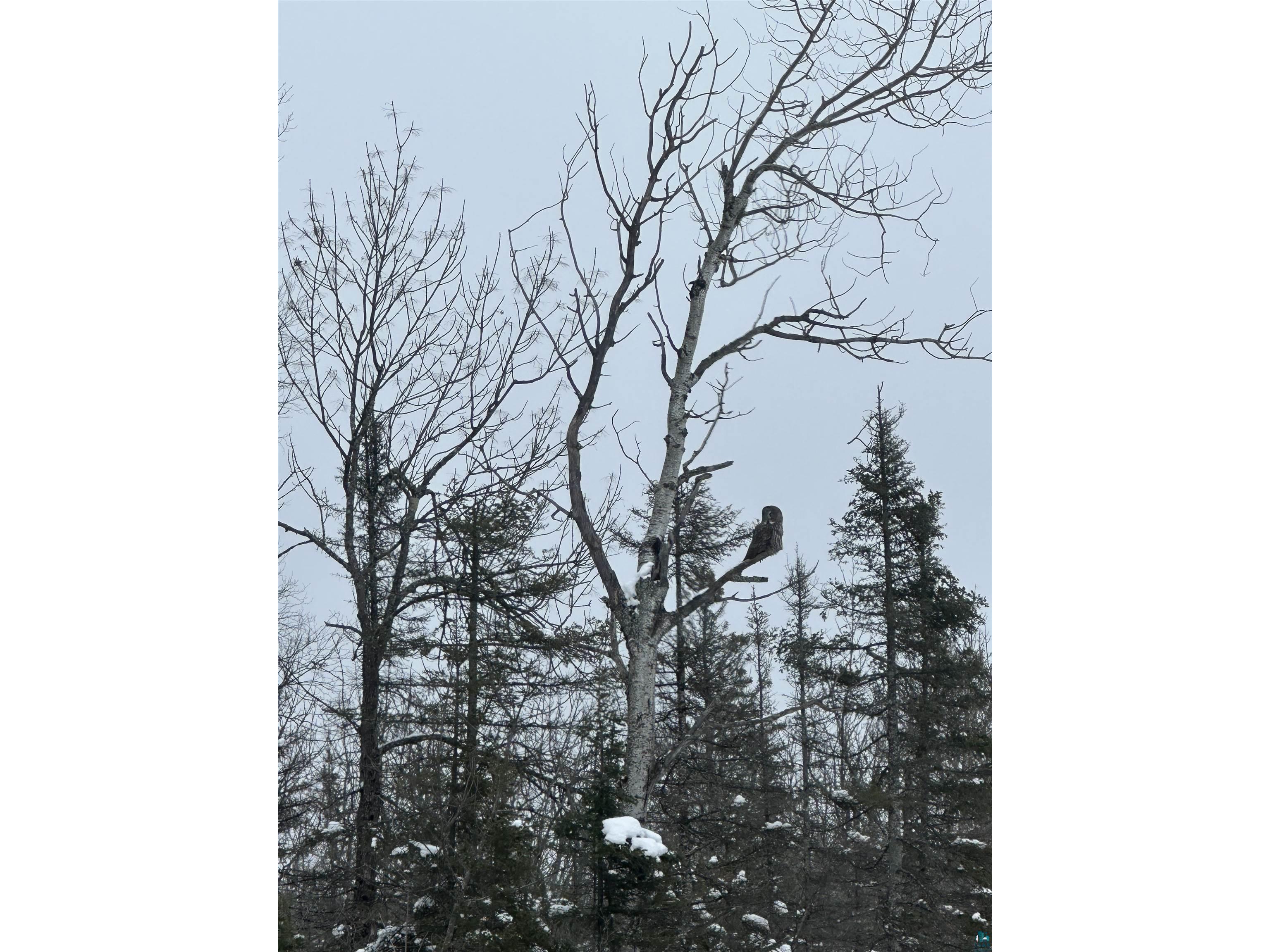 5274 Marble Lake Rd Two Harbors MN 55616 - Marble Lake 6125666 image75