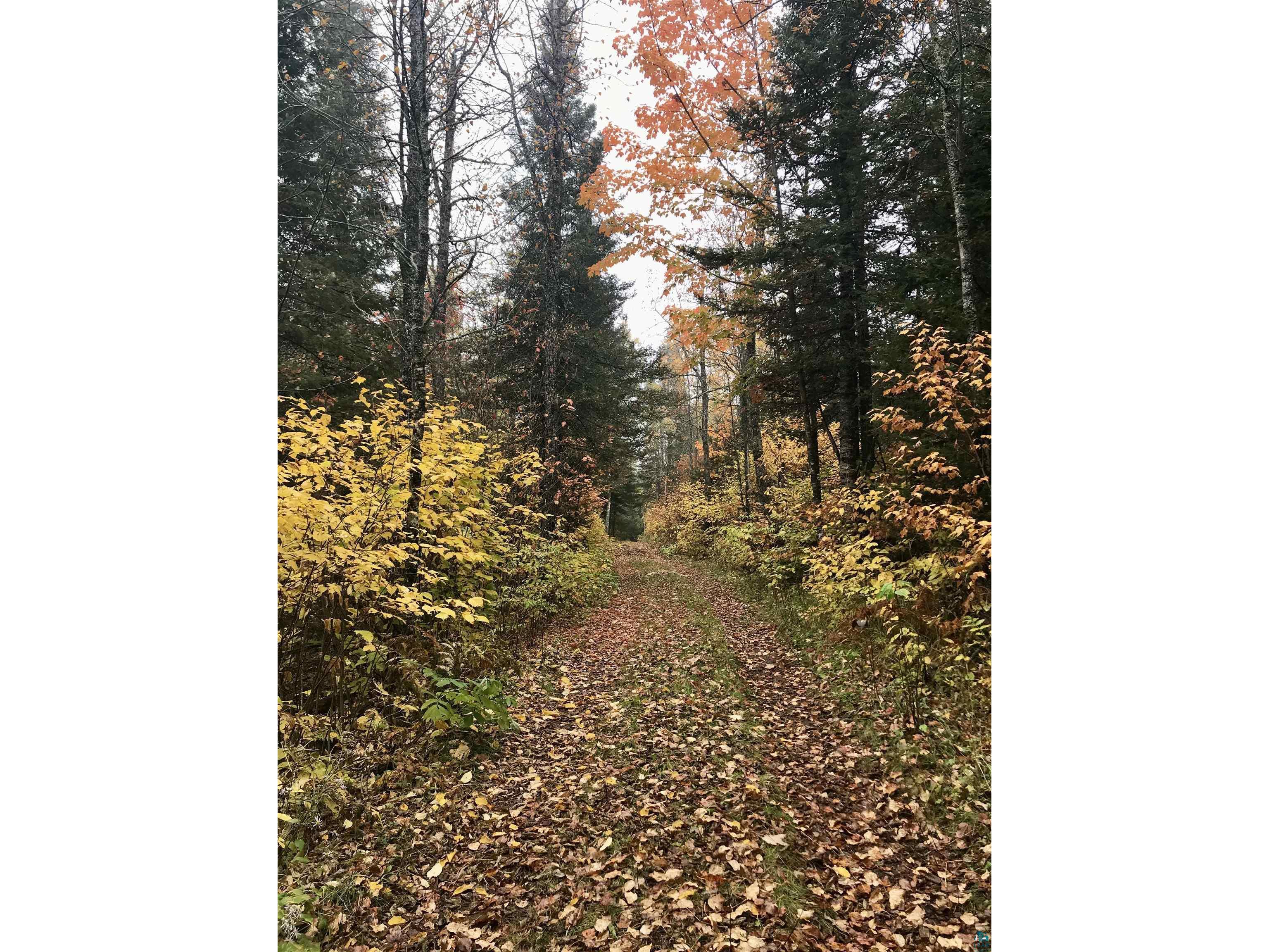 5274 Marble Lake Rd Two Harbors MN 55616 - Marble Lake 6125666 image80