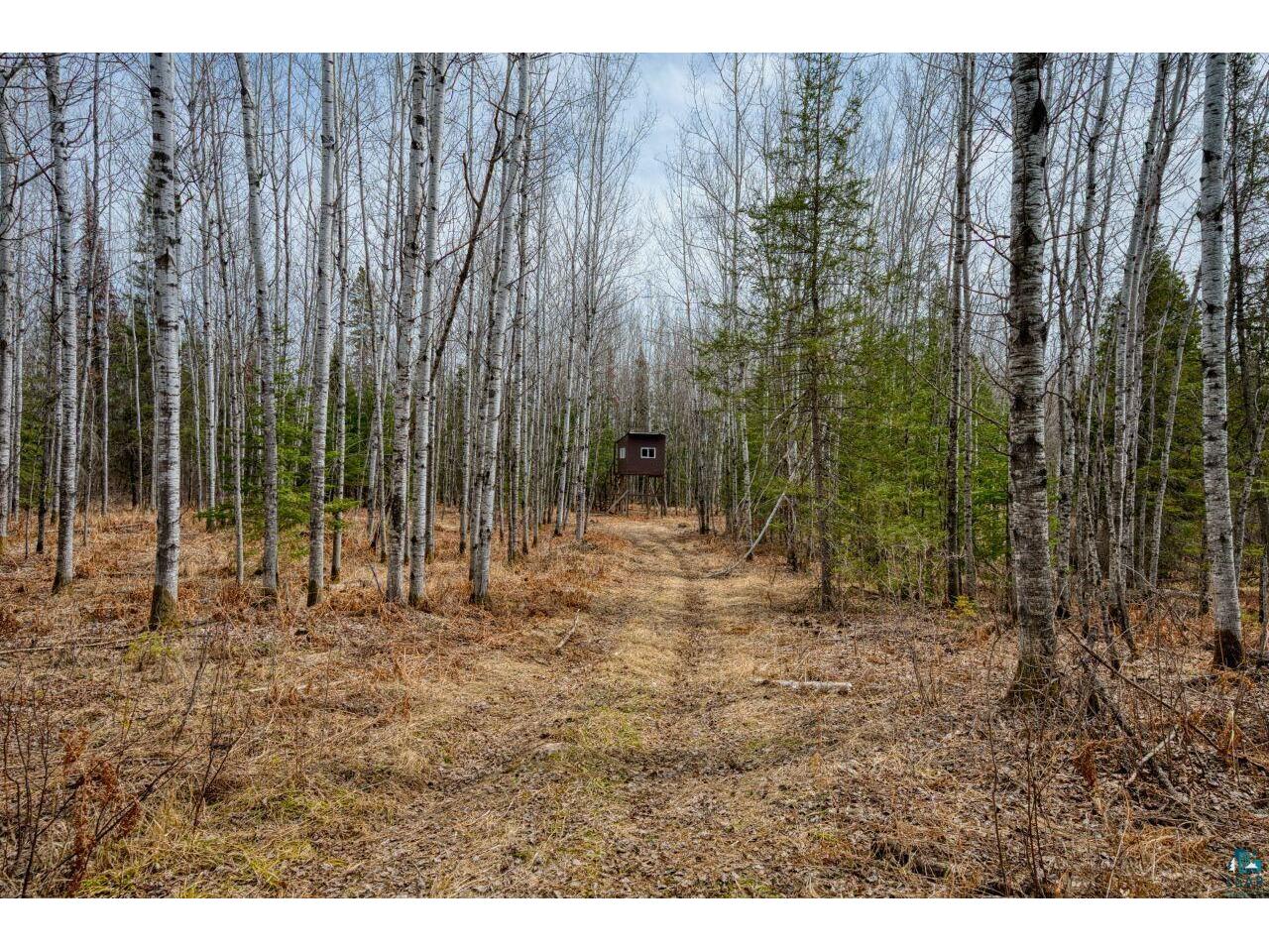 5303 Markham Rd Makinen MN 55763 6118884 image25