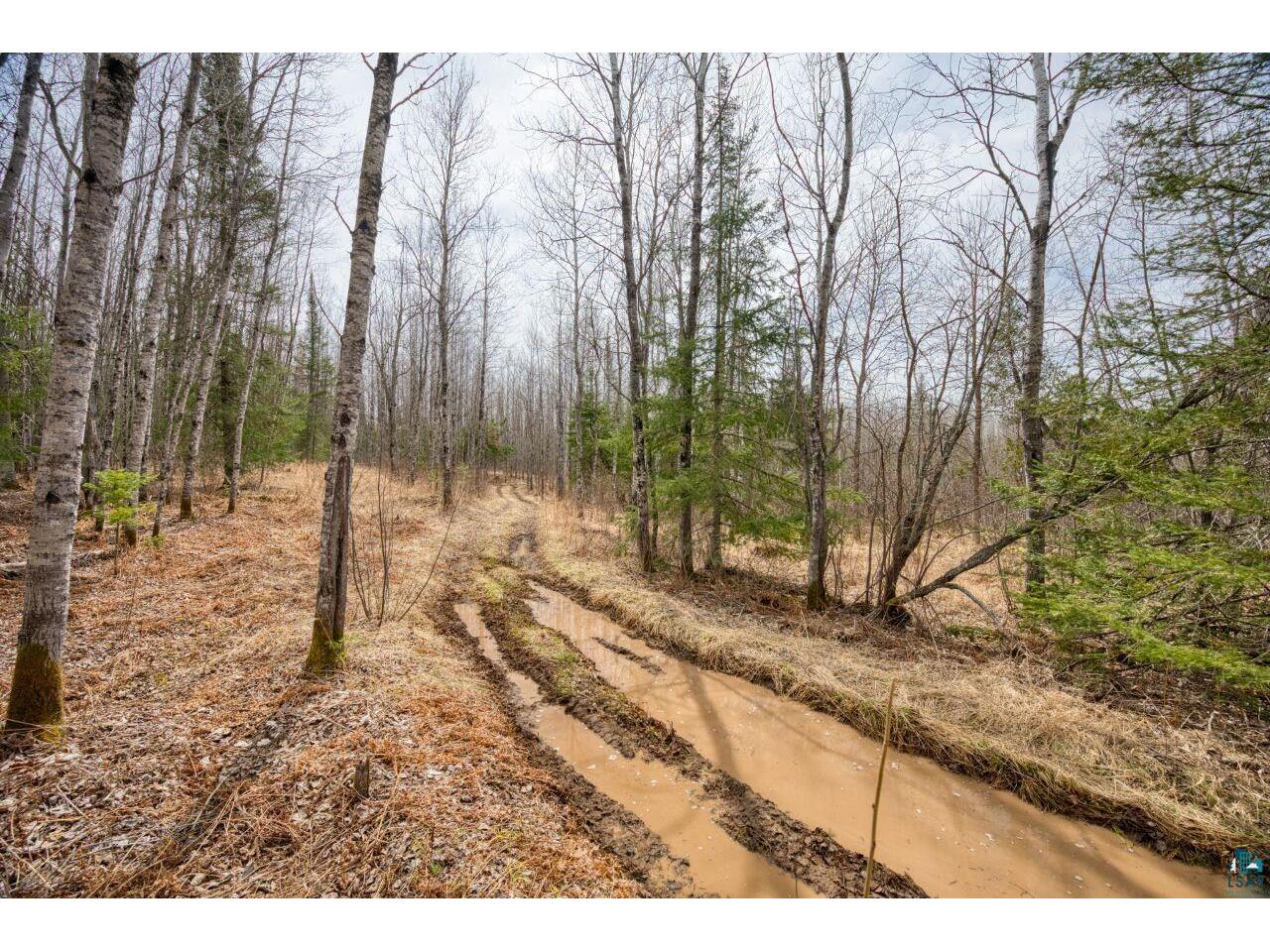 5303 Markham Rd Makinen MN 55763 6118884 image27