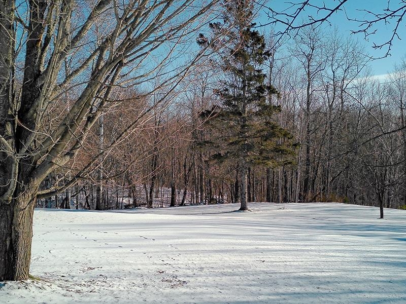 532 Caribou Tr Lutsen MN 55612 6120632 image34