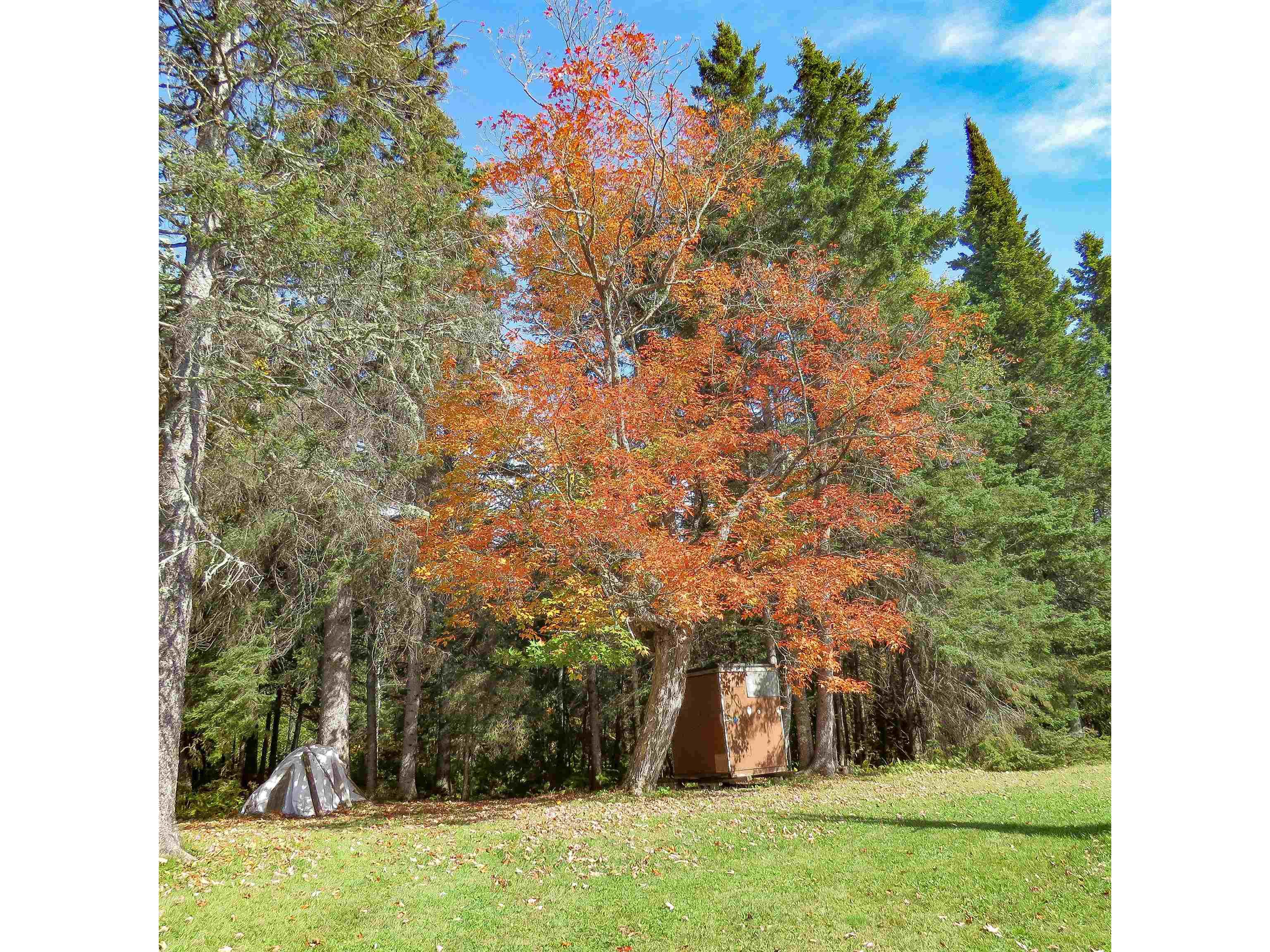 532 Caribou Tr Lutsen MN 55612 6120632 image55