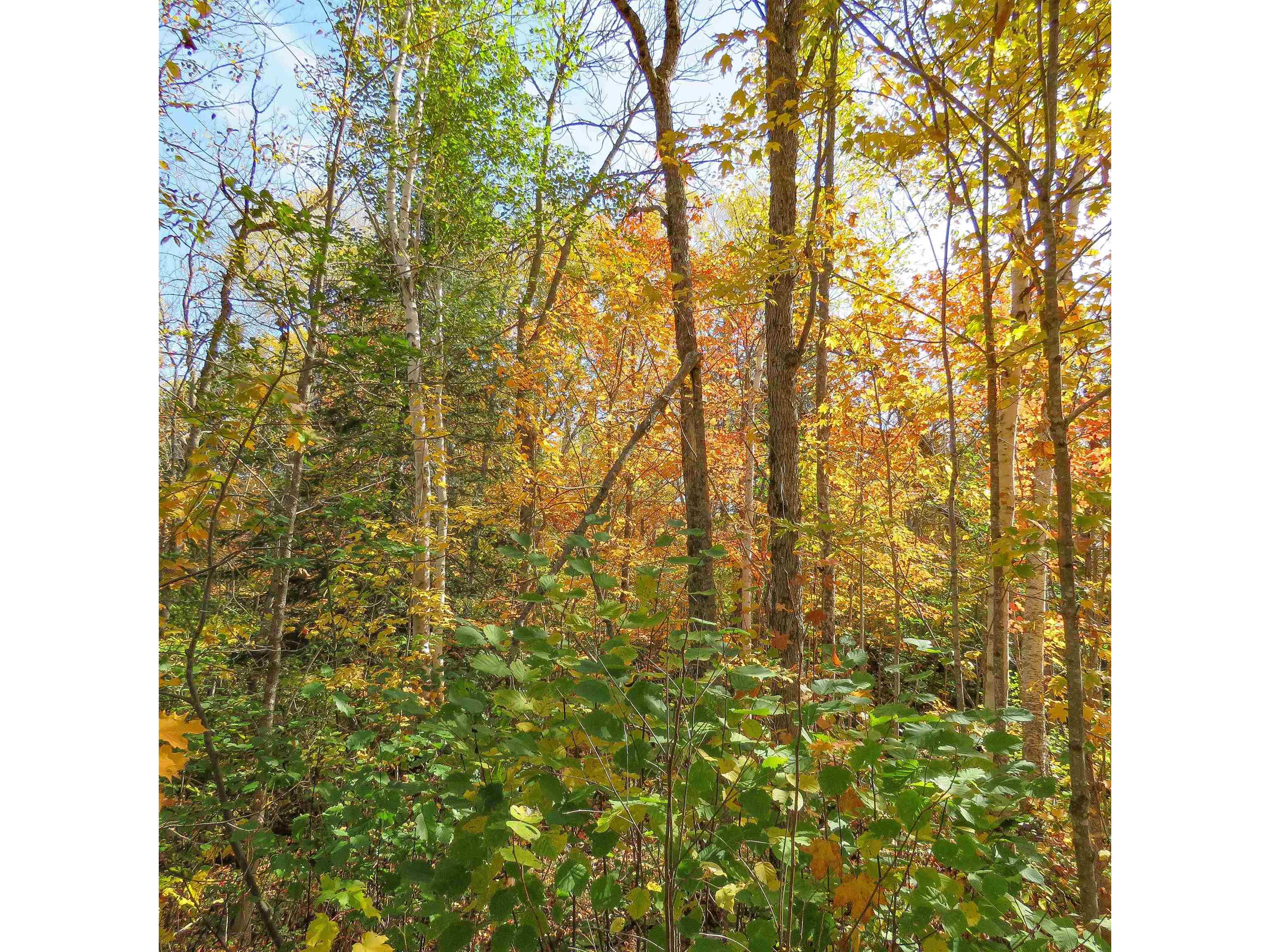 532 Caribou Tr Lutsen MN 55612 6120632 image57