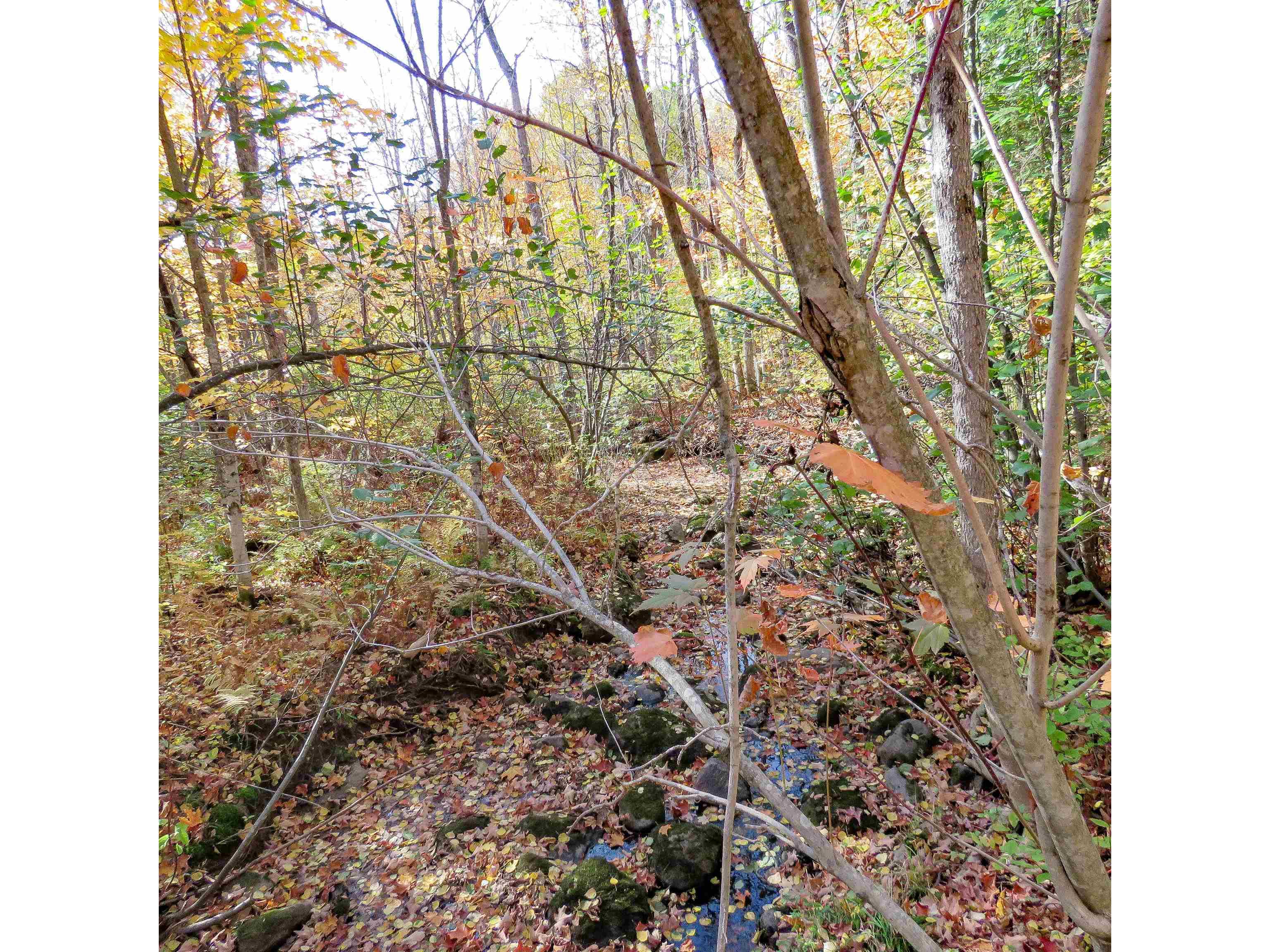 532 Caribou Tr Lutsen MN 55612 6120632 image59