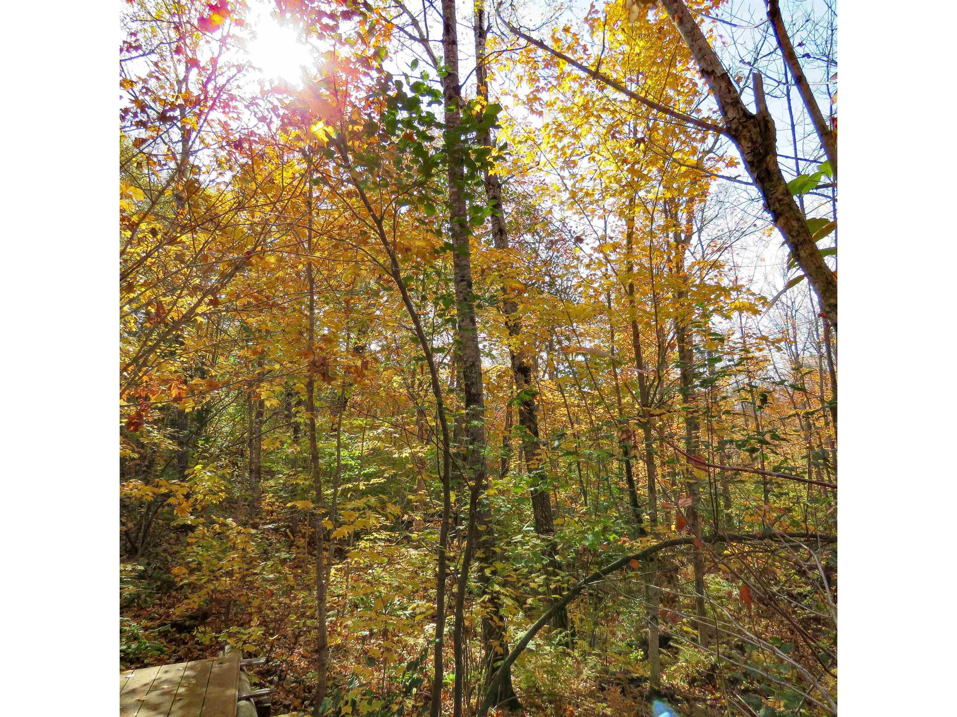 532 Caribou Tr Lutsen MN 55612 6120632 image60