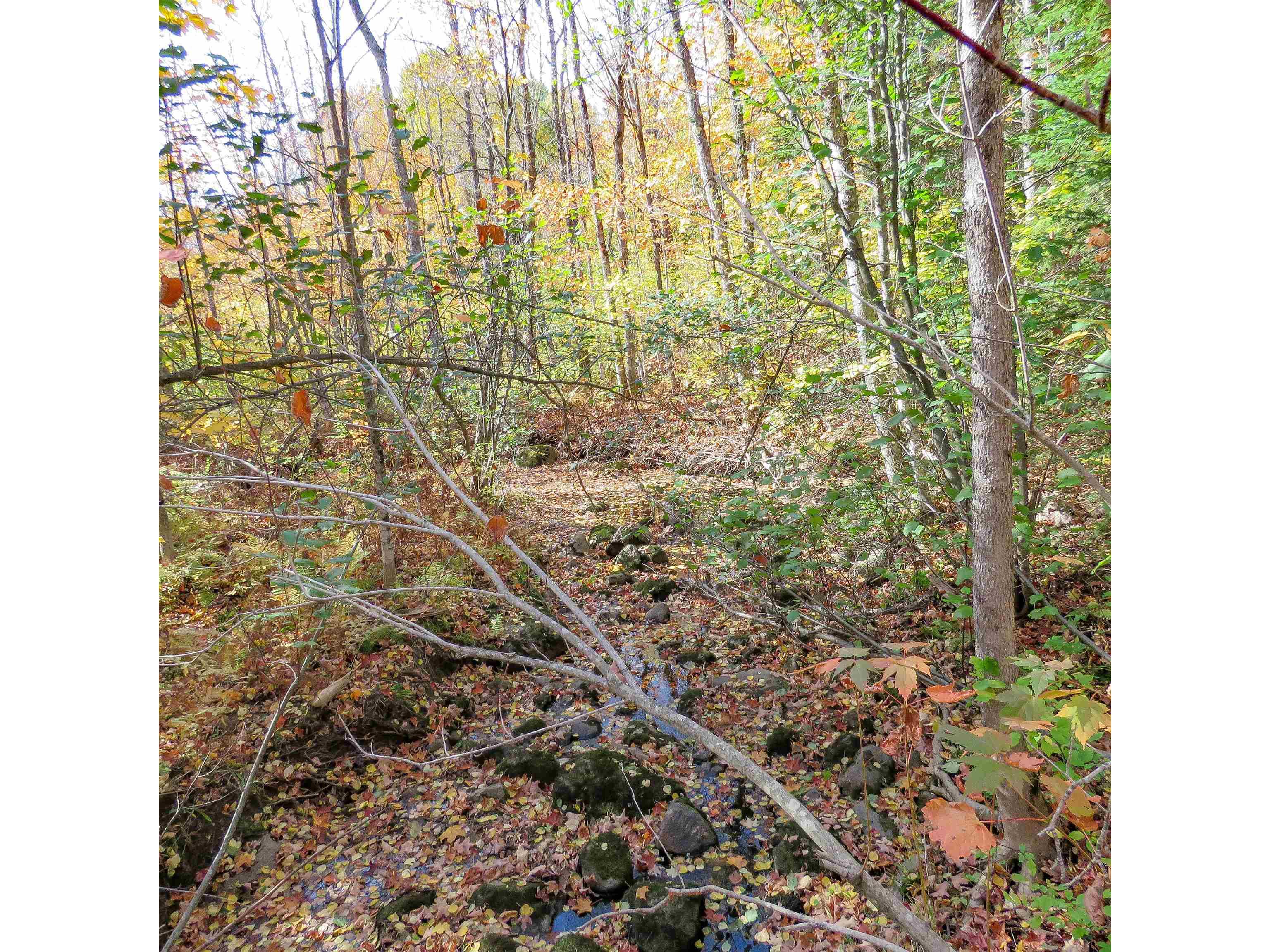 532 Caribou Tr Lutsen MN 55612 6120632 image61