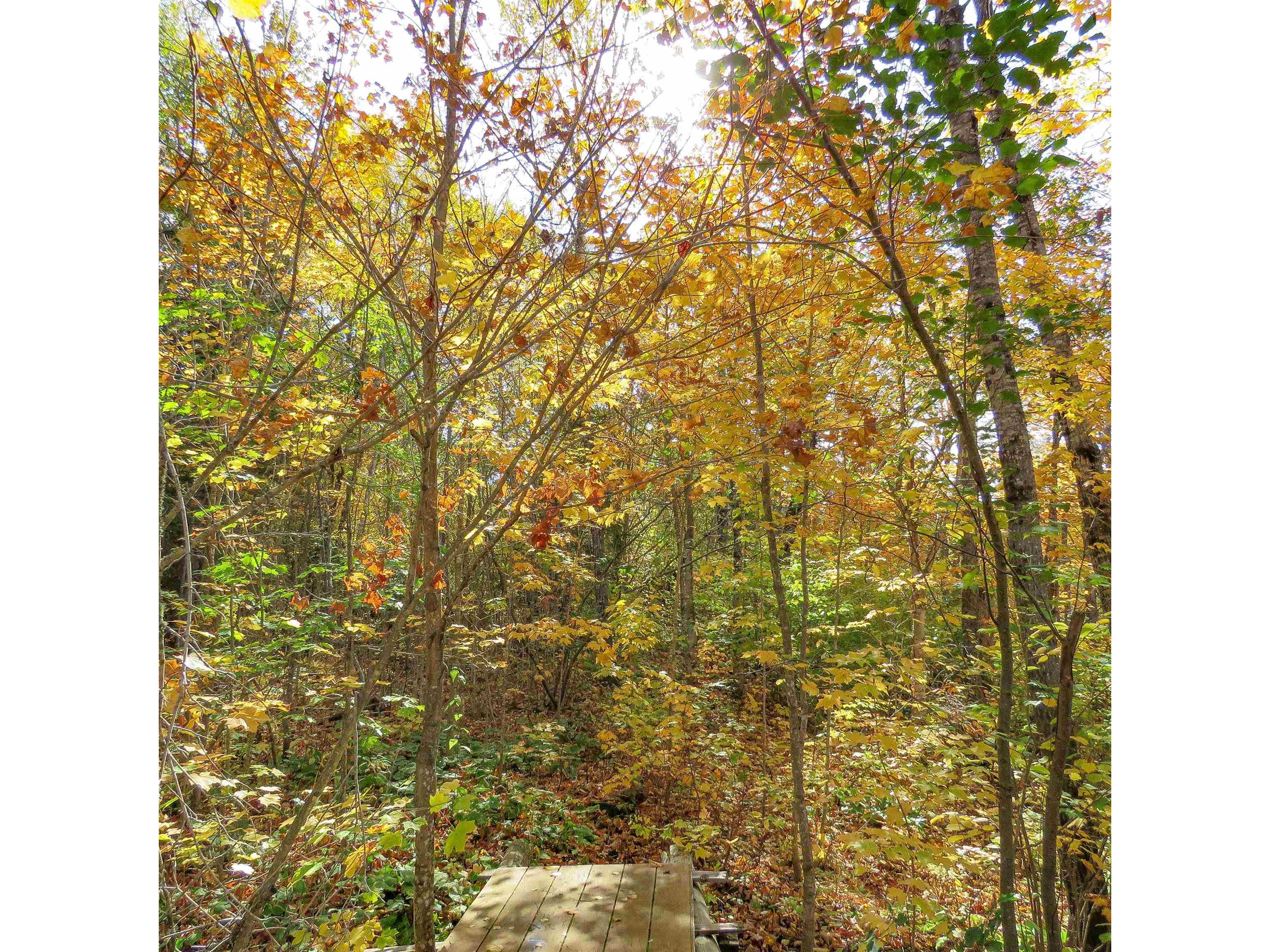 532 Caribou Tr Lutsen MN 55612 6120632 image62