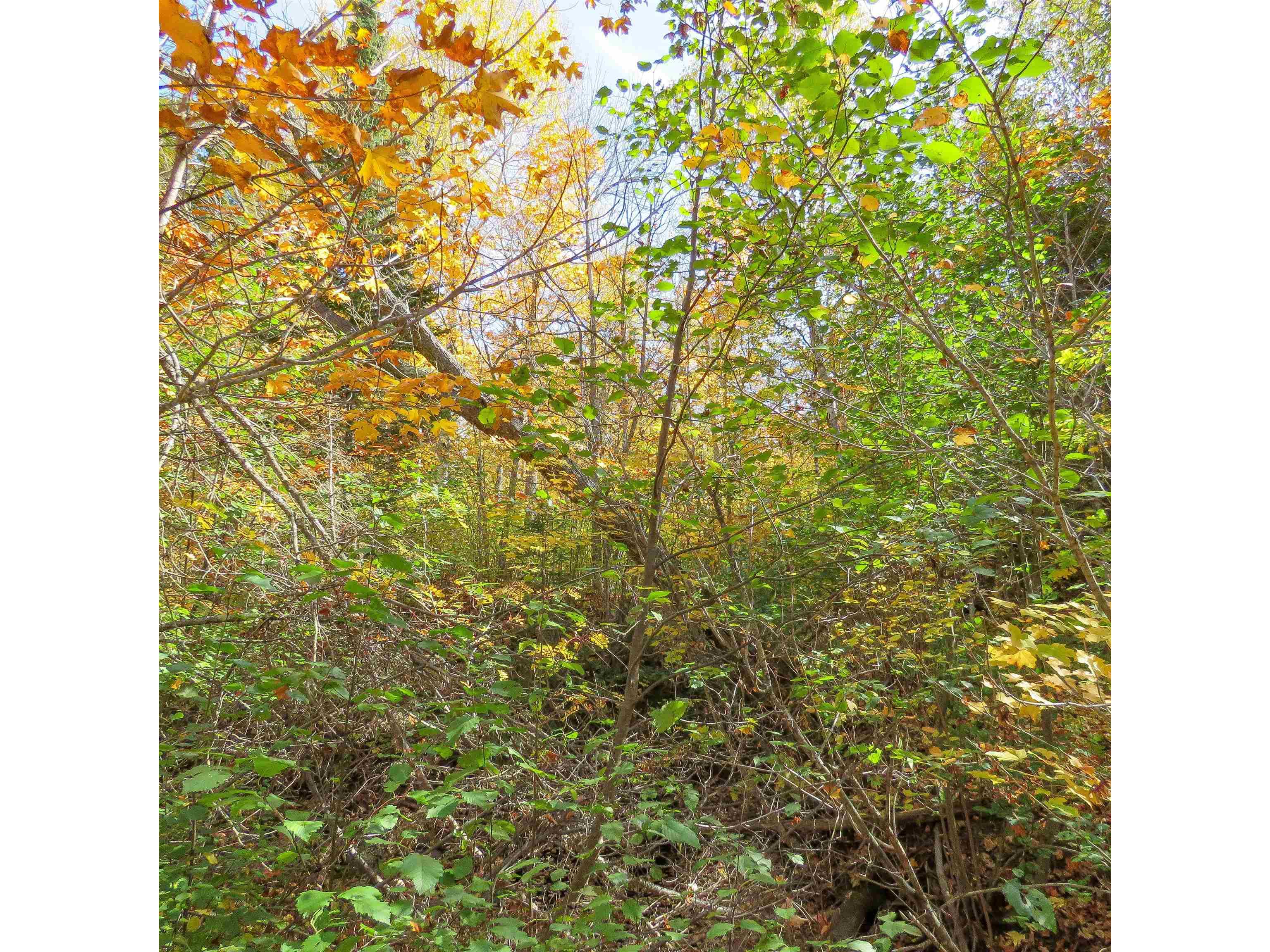 532 Caribou Tr Lutsen MN 55612 6120632 image63