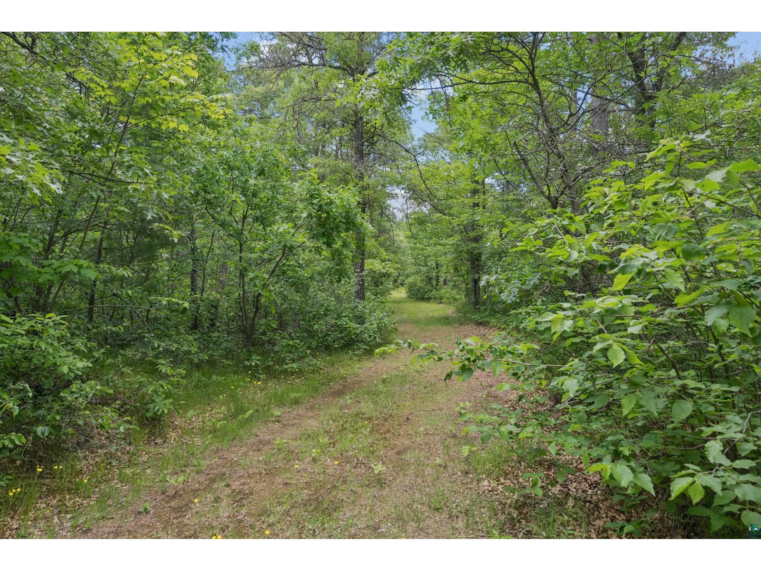 53260 State Hwy 27 Barnes WI 54873 6126054 image32