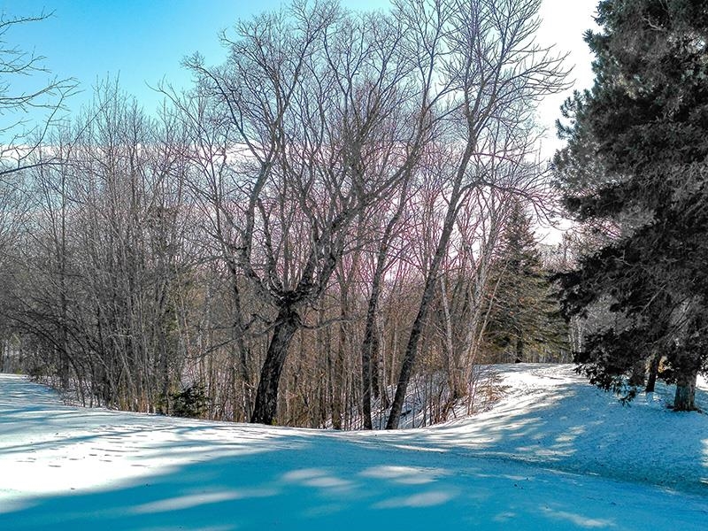 532x Caribou Tr Lutsen MN 55612 6121594 image31