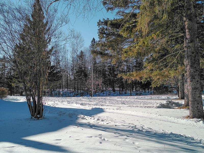 532x Caribou Tr Lutsen MN 55612 6121594 image33