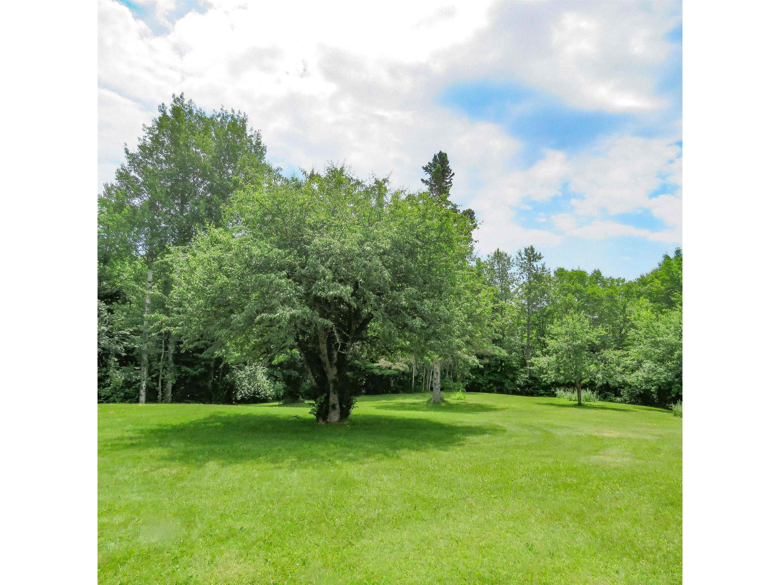 532x Caribou Tr Lutsen MN 55612 6121594 image47