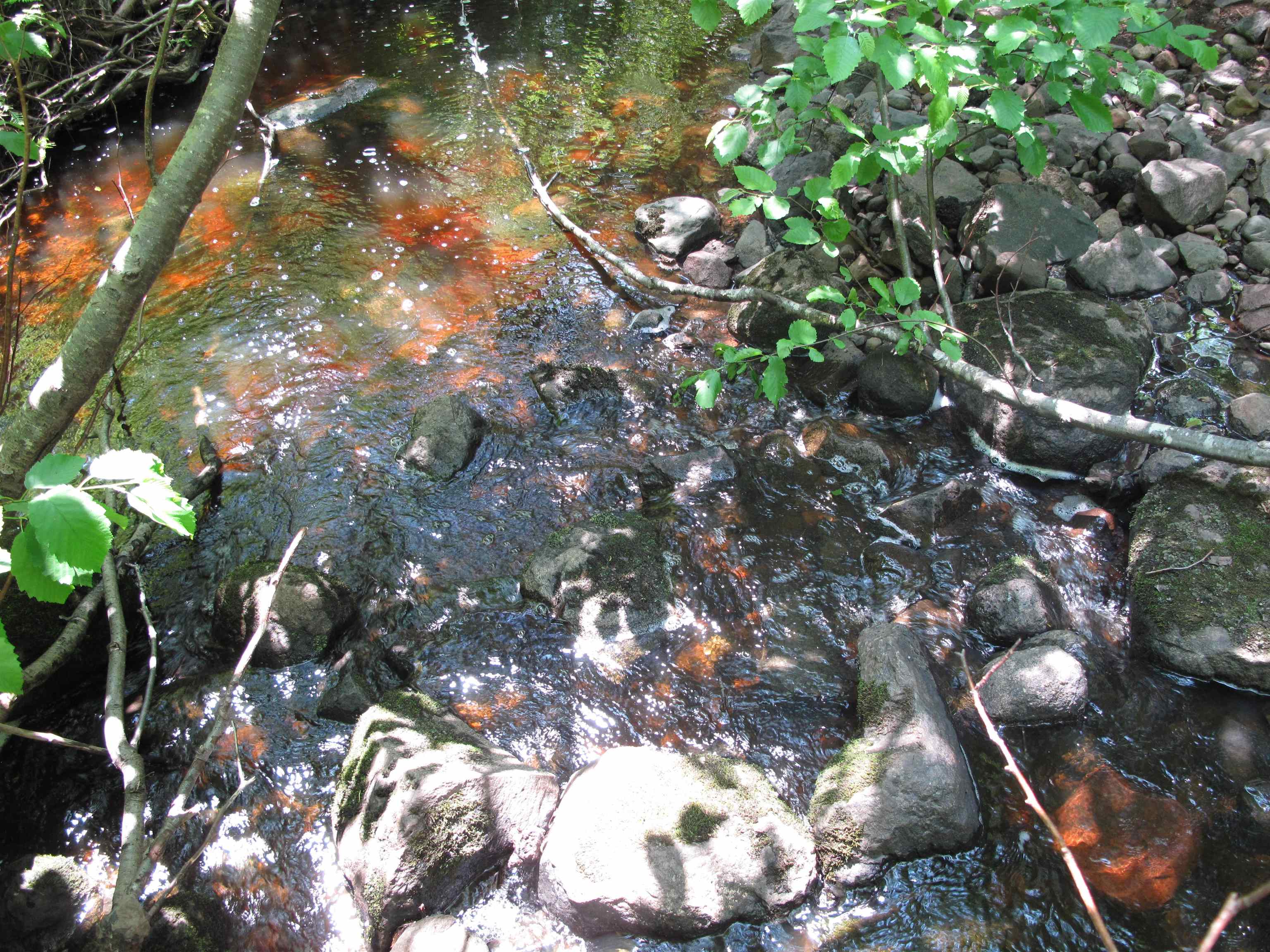 532x Caribou Tr Lutsen MN 55612 6121594 image49