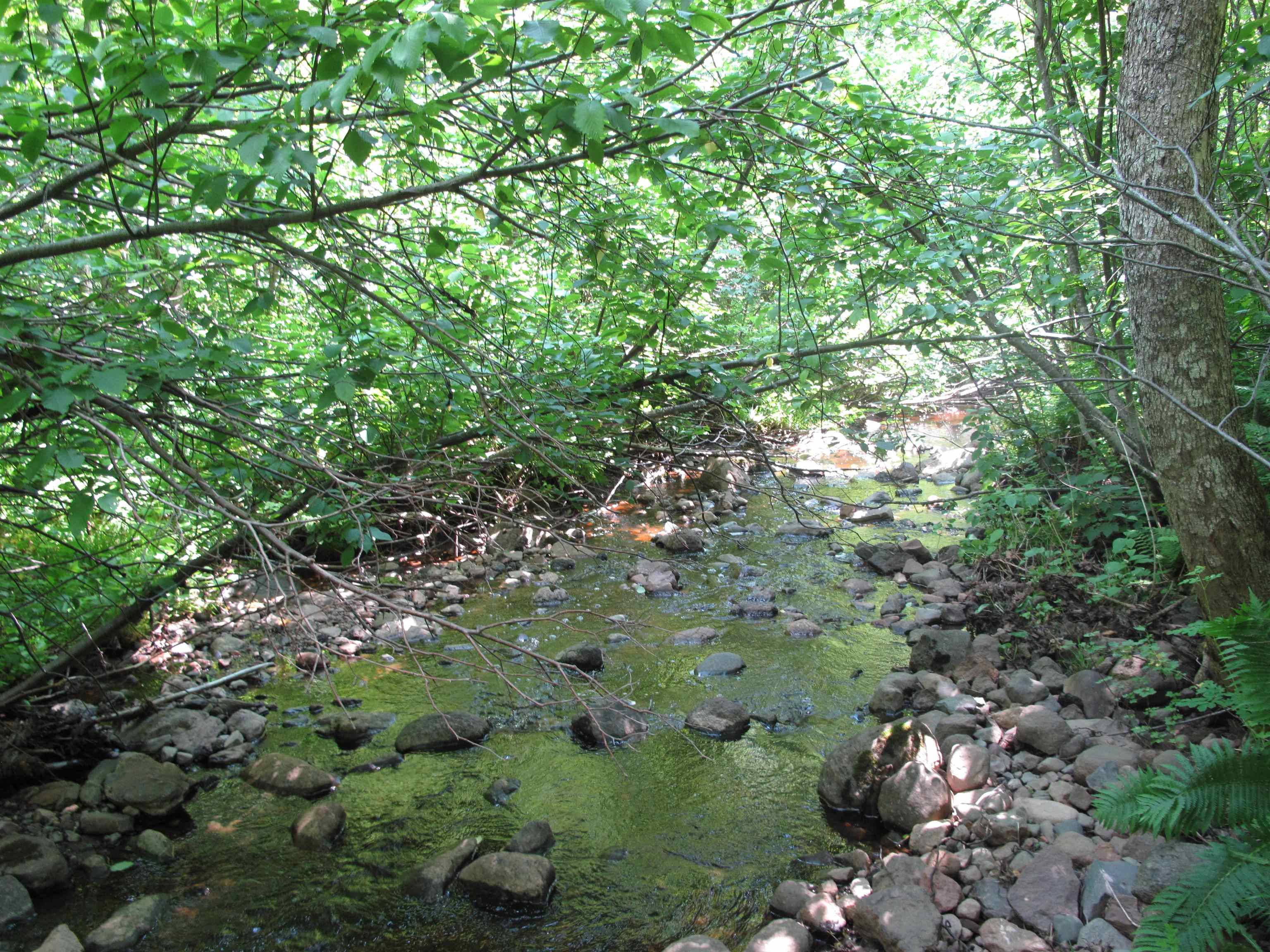 532x Caribou Tr Lutsen MN 55612 6121594 image51