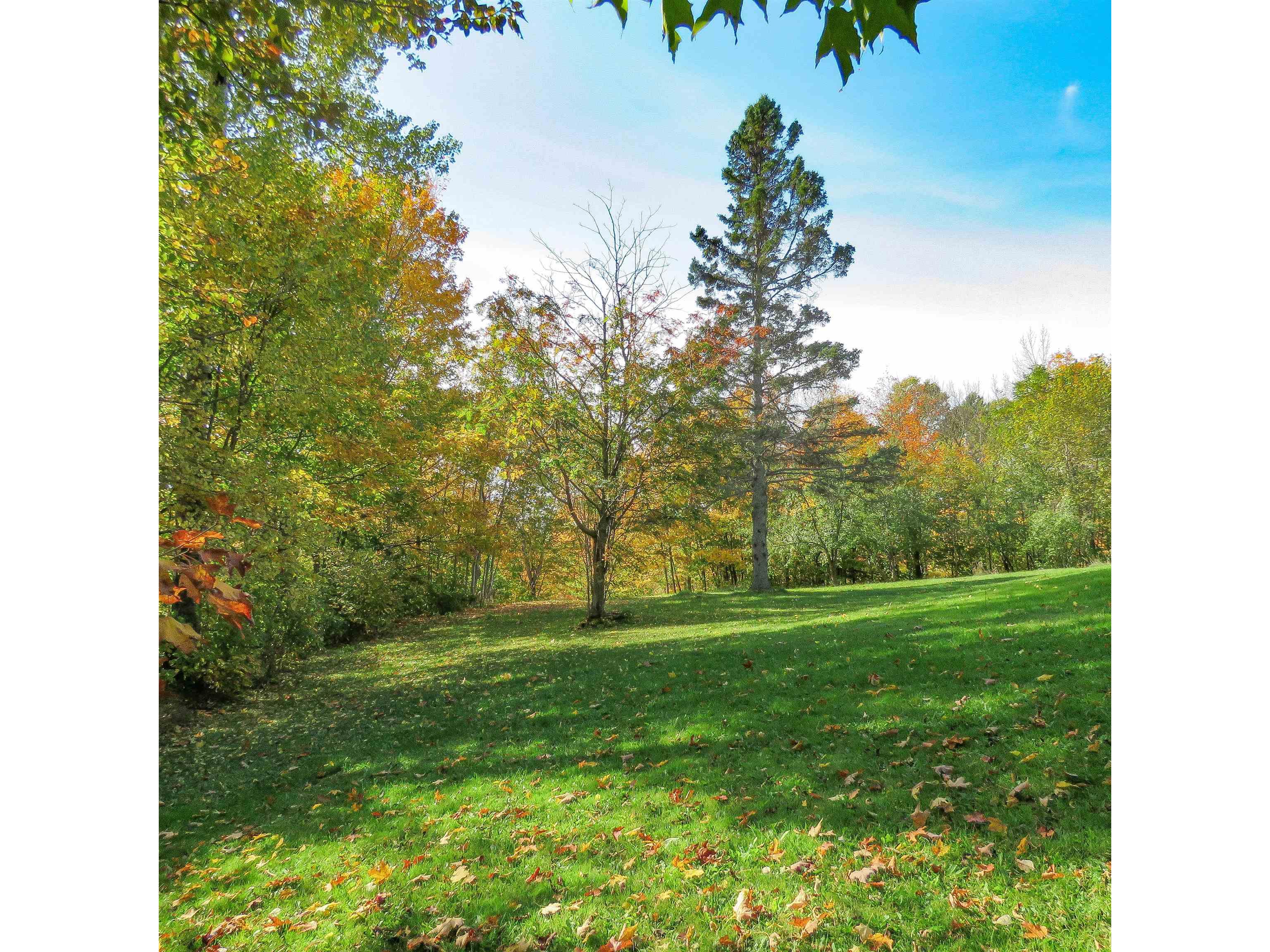 532x Caribou Tr Lutsen MN 55612 6121594 image57