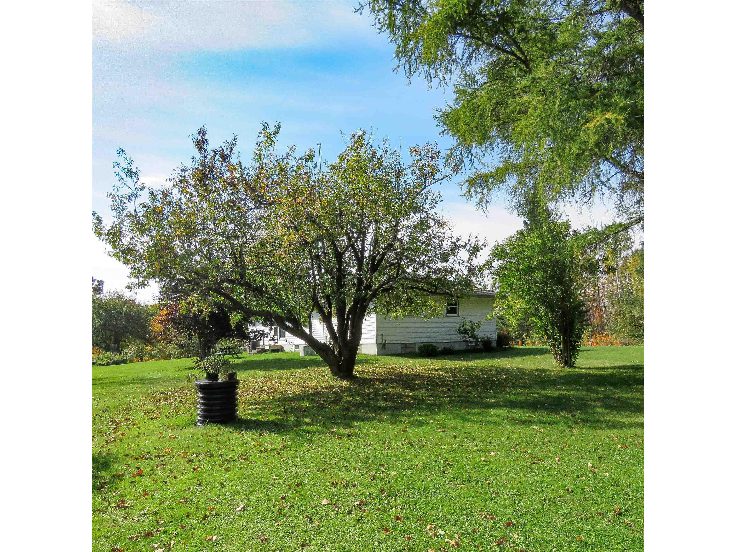 532x Caribou Tr Lutsen MN 55612 6121594 image59