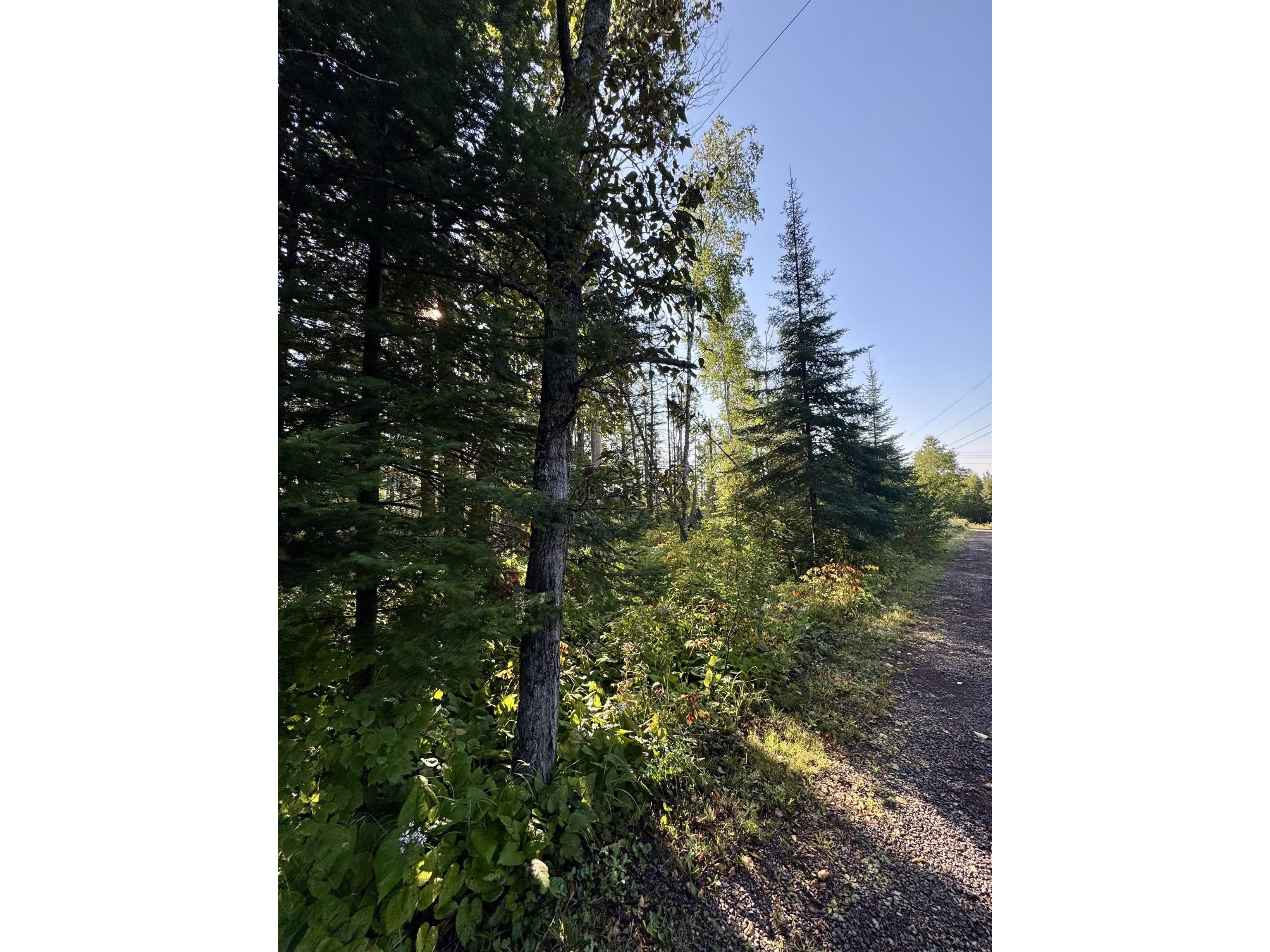 5361 Hwy 61 W Lutsen MN 55612 6121839 image16