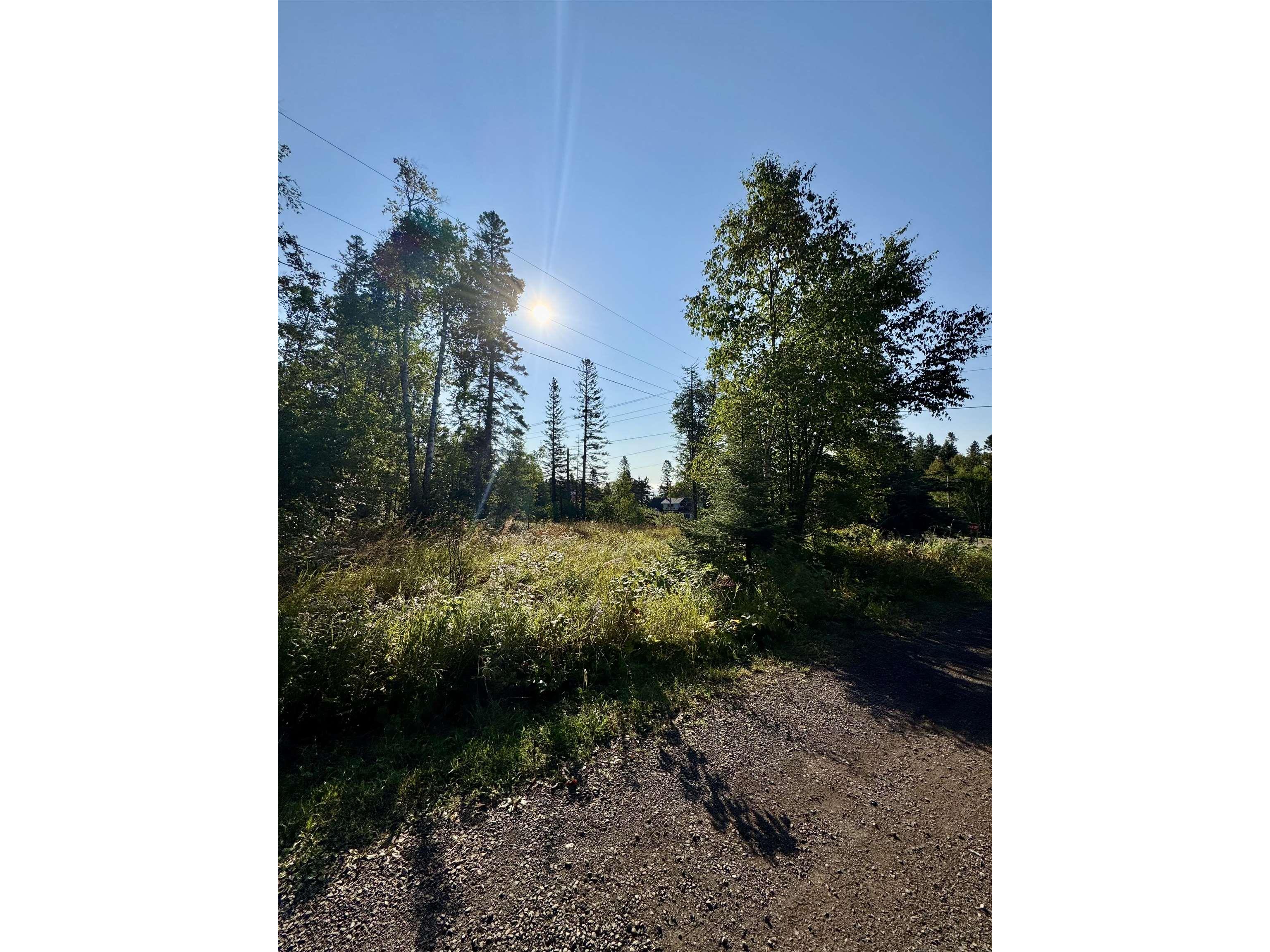 5361 Hwy 61 W Lutsen MN 55612 6121839 image18