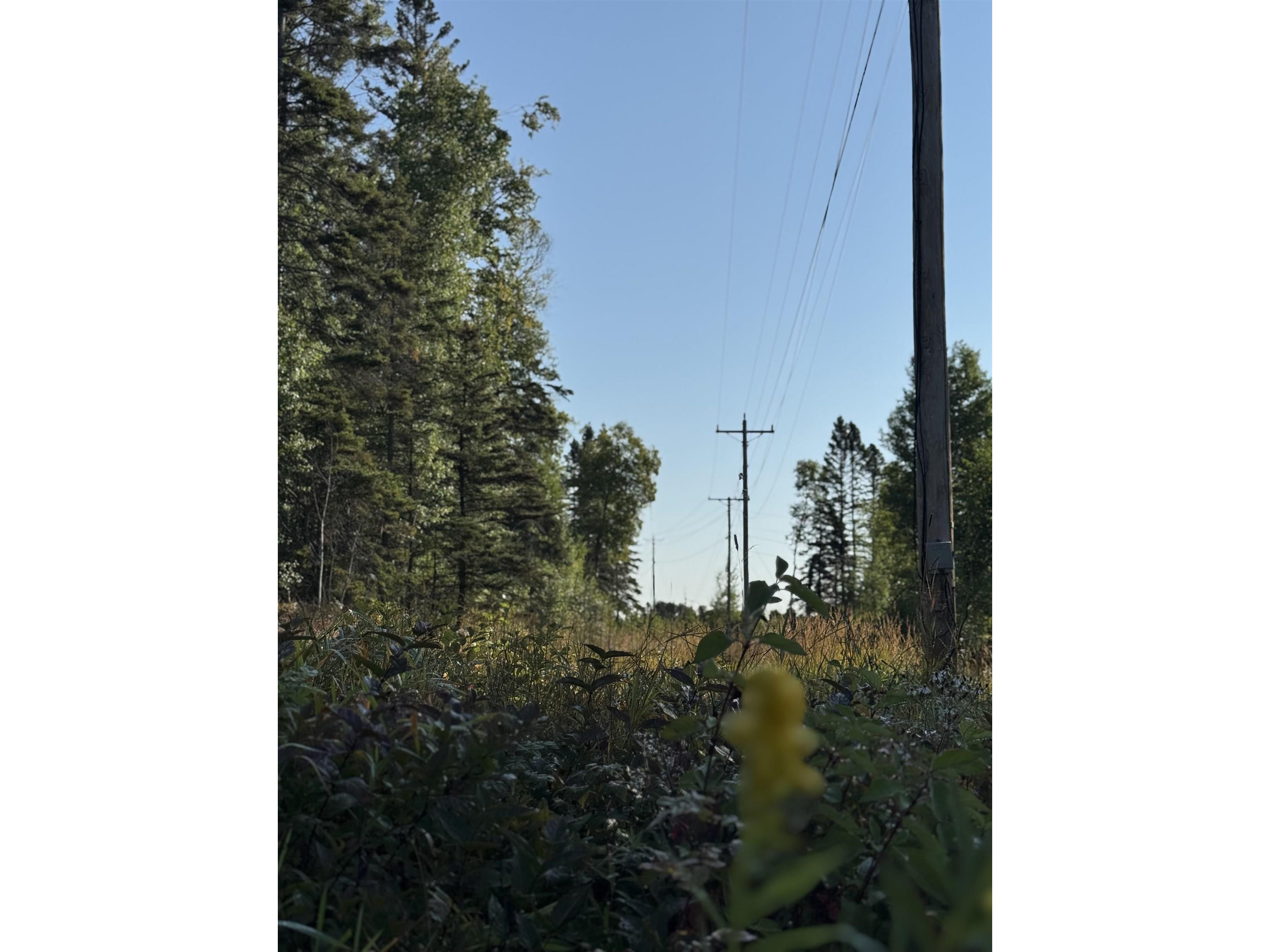 5361 Hwy 61 W Lutsen MN 55612 6121839 image19