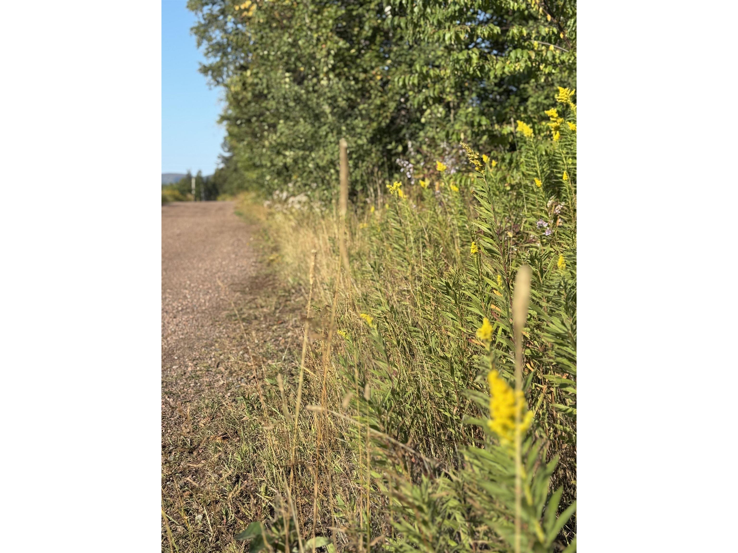 5361 Hwy 61 W Lutsen MN 55612 6121839 image20