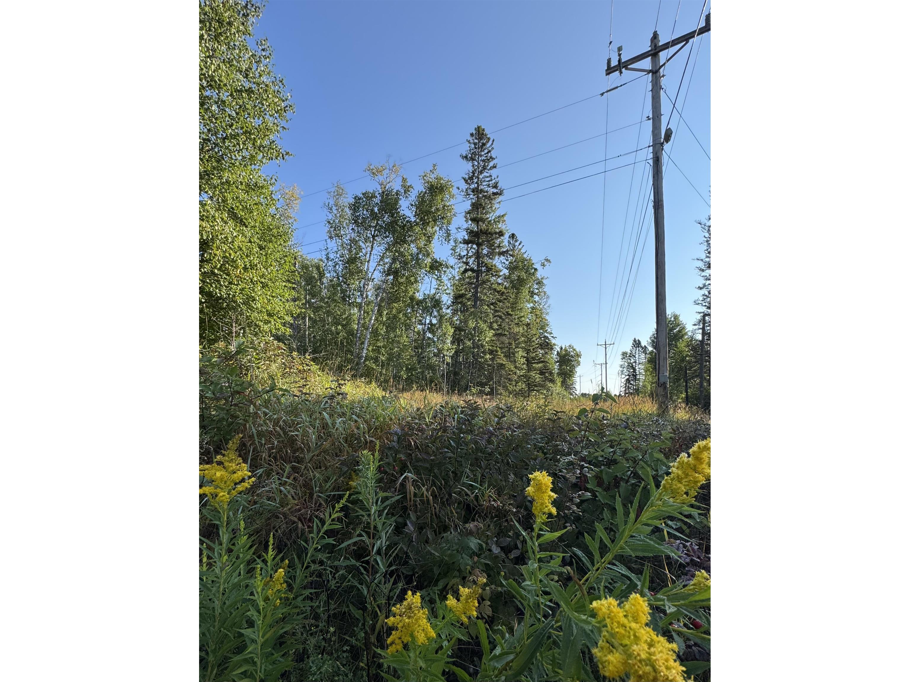 5361 Hwy 61 W Lutsen MN 55612 6121839 image7