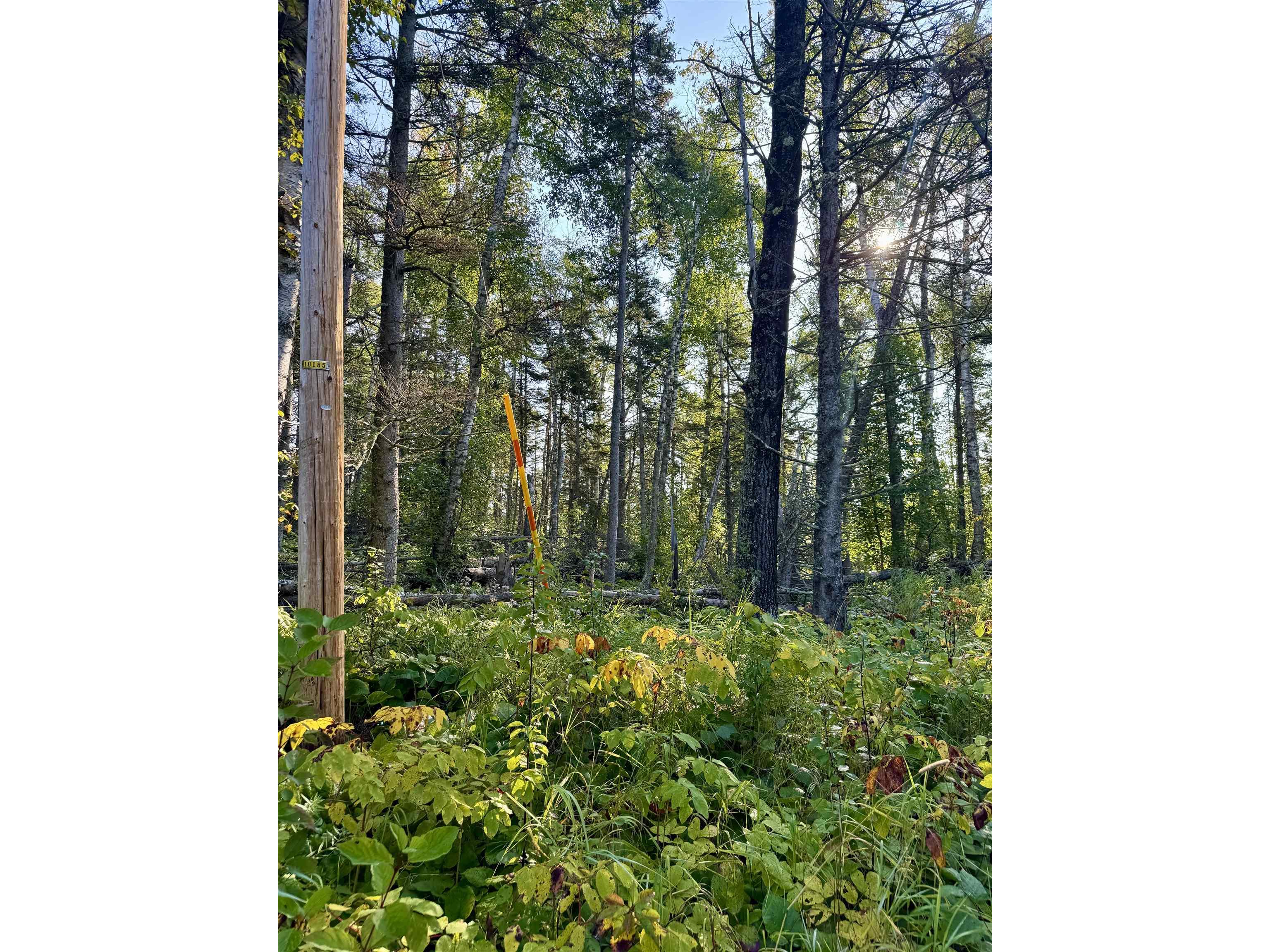 5361 Hwy 61 W Lutsen MN 55612 6121839 image8