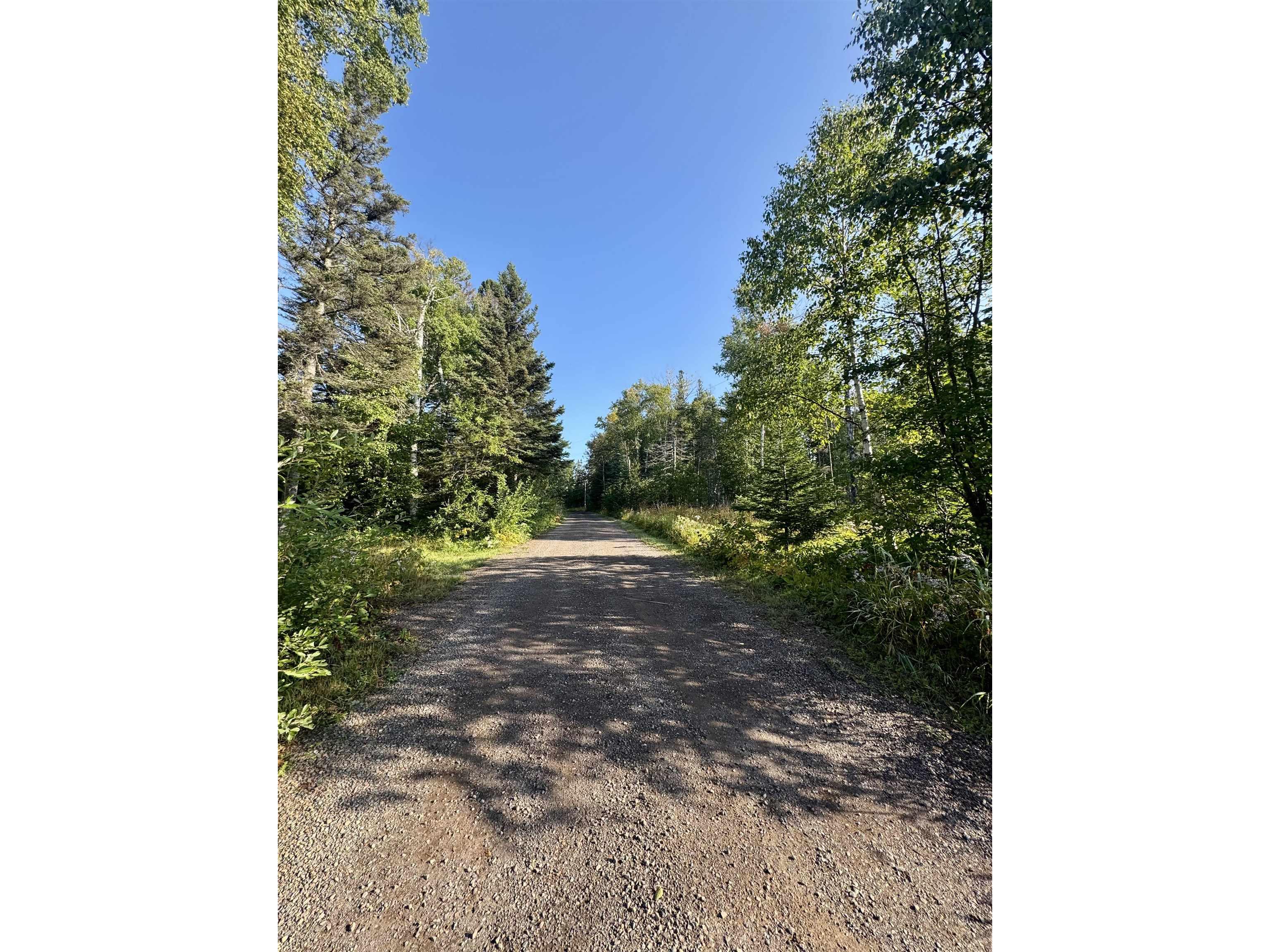 5361 Hwy 61 W Lutsen MN 55612 6121839 image9