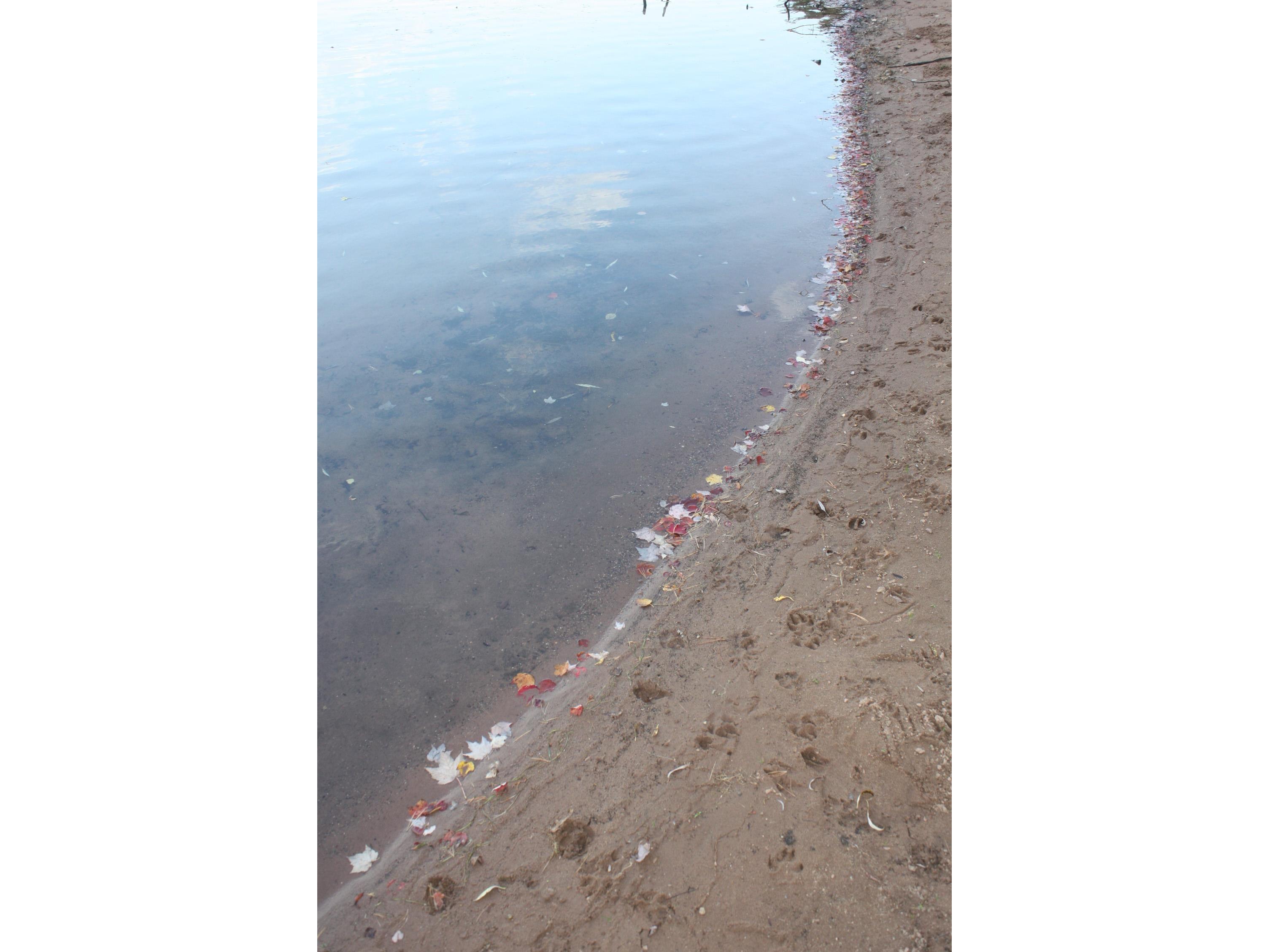 53710 E Ellison Lake Rd Barnes WI 54873 - Ellison Lk 6122270 image31