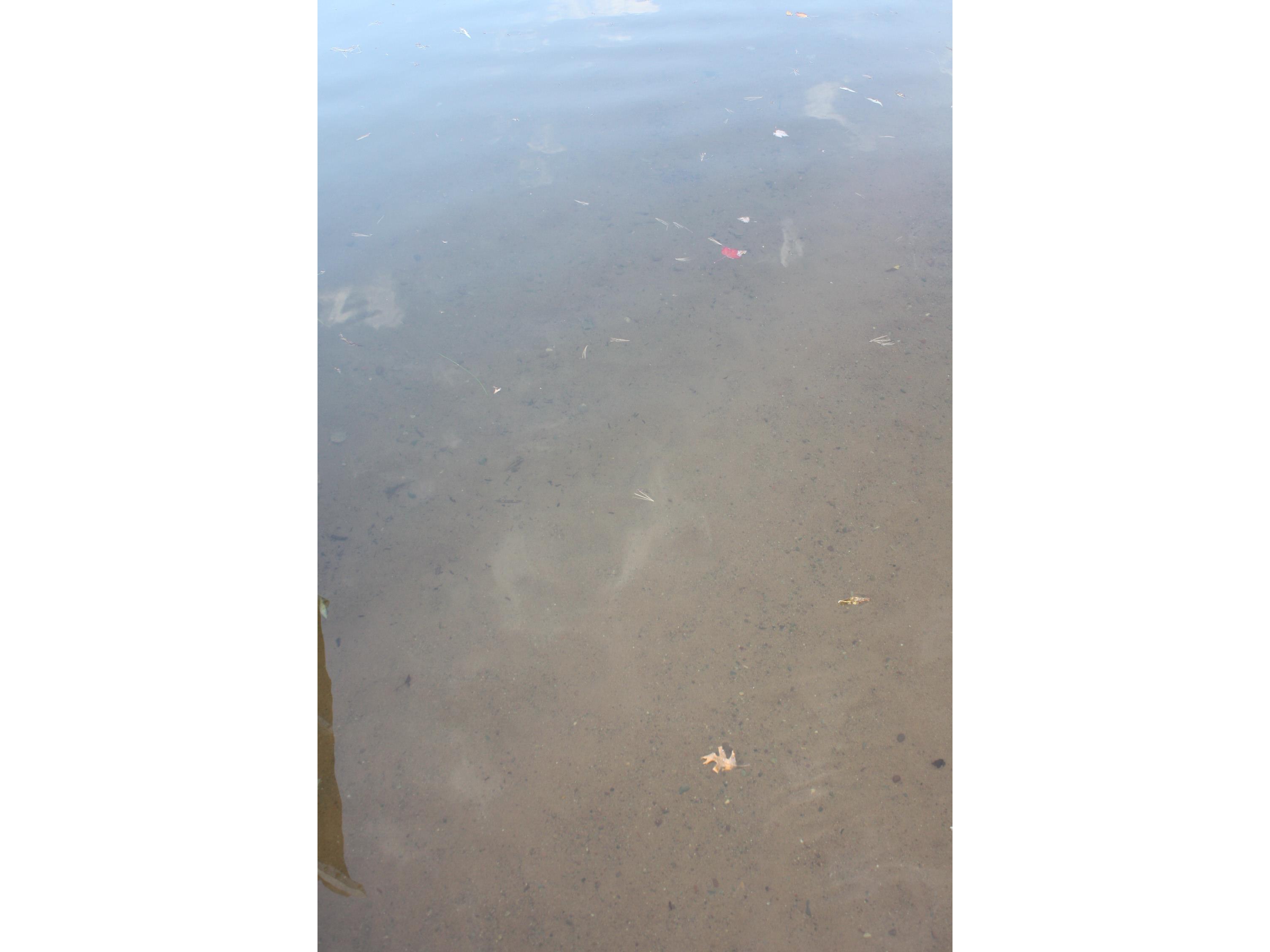 53710 E Ellison Lake Rd Barnes WI 54873 - Ellison Lk 6122270 image32