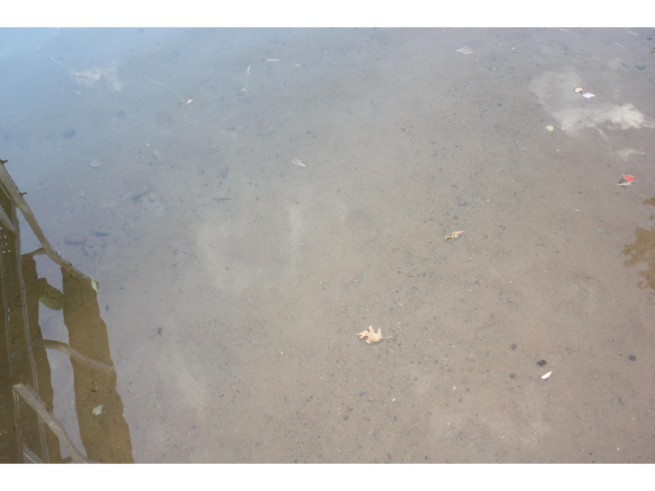 53710 E Ellison Lake Rd Barnes WI 54873 - Ellison Lk 6122270 image33