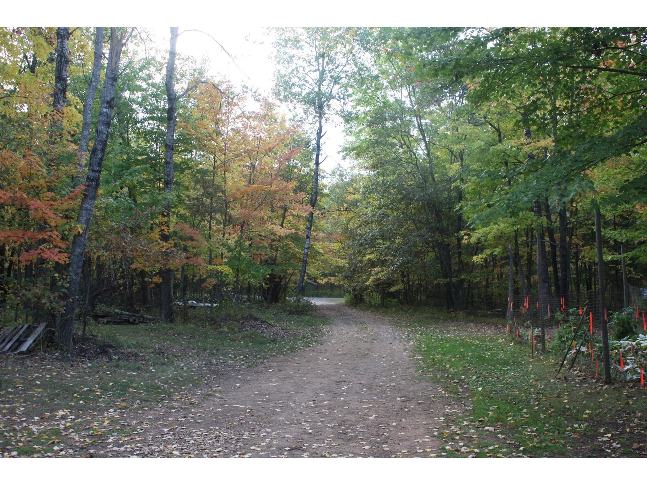 53710 E Ellison Lake Rd Barnes WI 54873 - Ellison Lk 6122270 image42