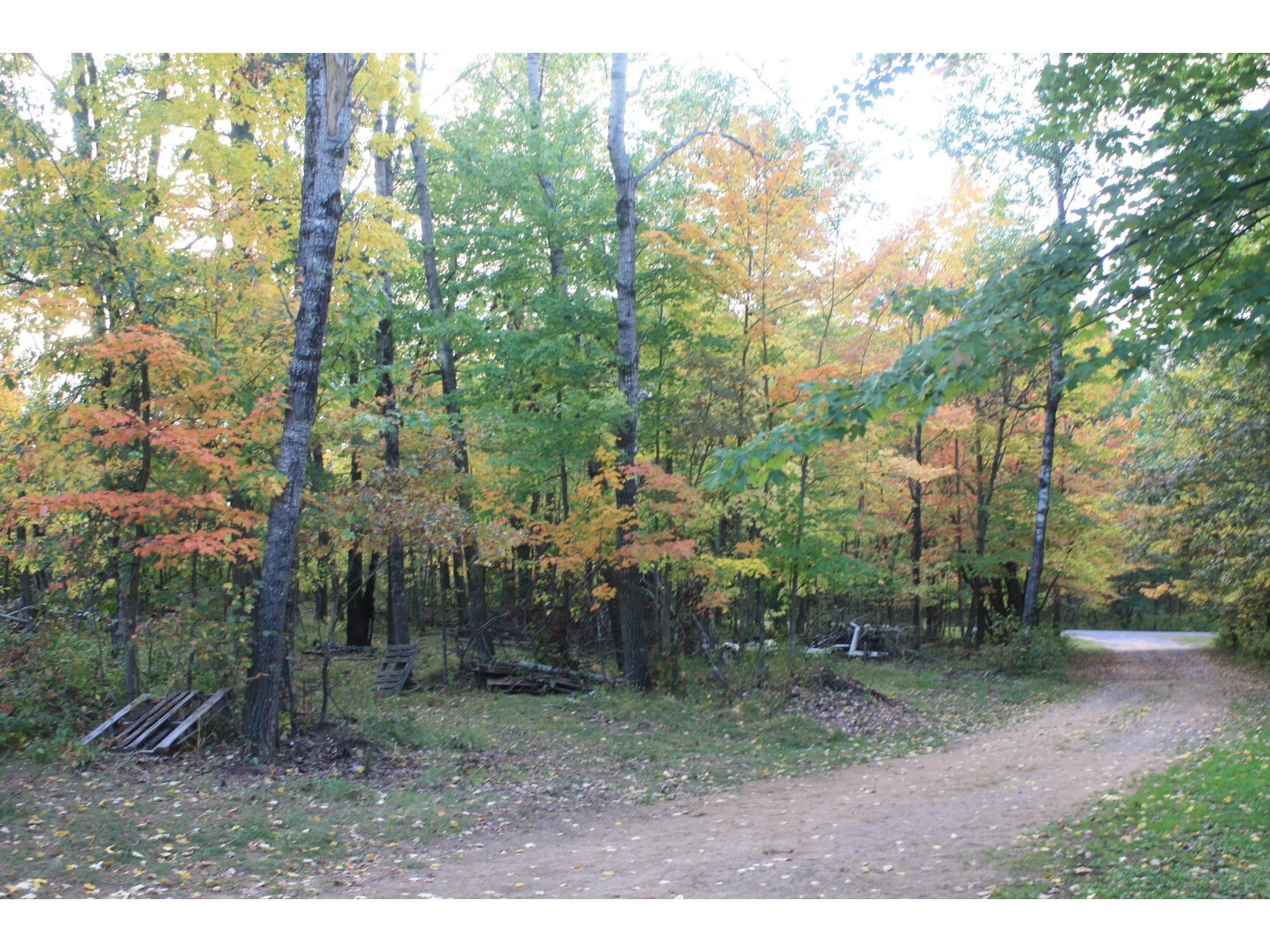 53710 E Ellison Lake Rd Barnes WI 54873 - Ellison Lk 6122270 image47