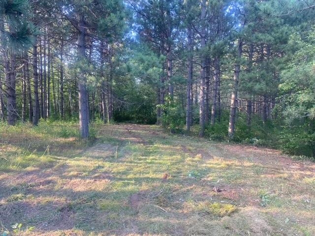 53XX Bergstopp Ln Saginaw MN 55779 6121248 image1