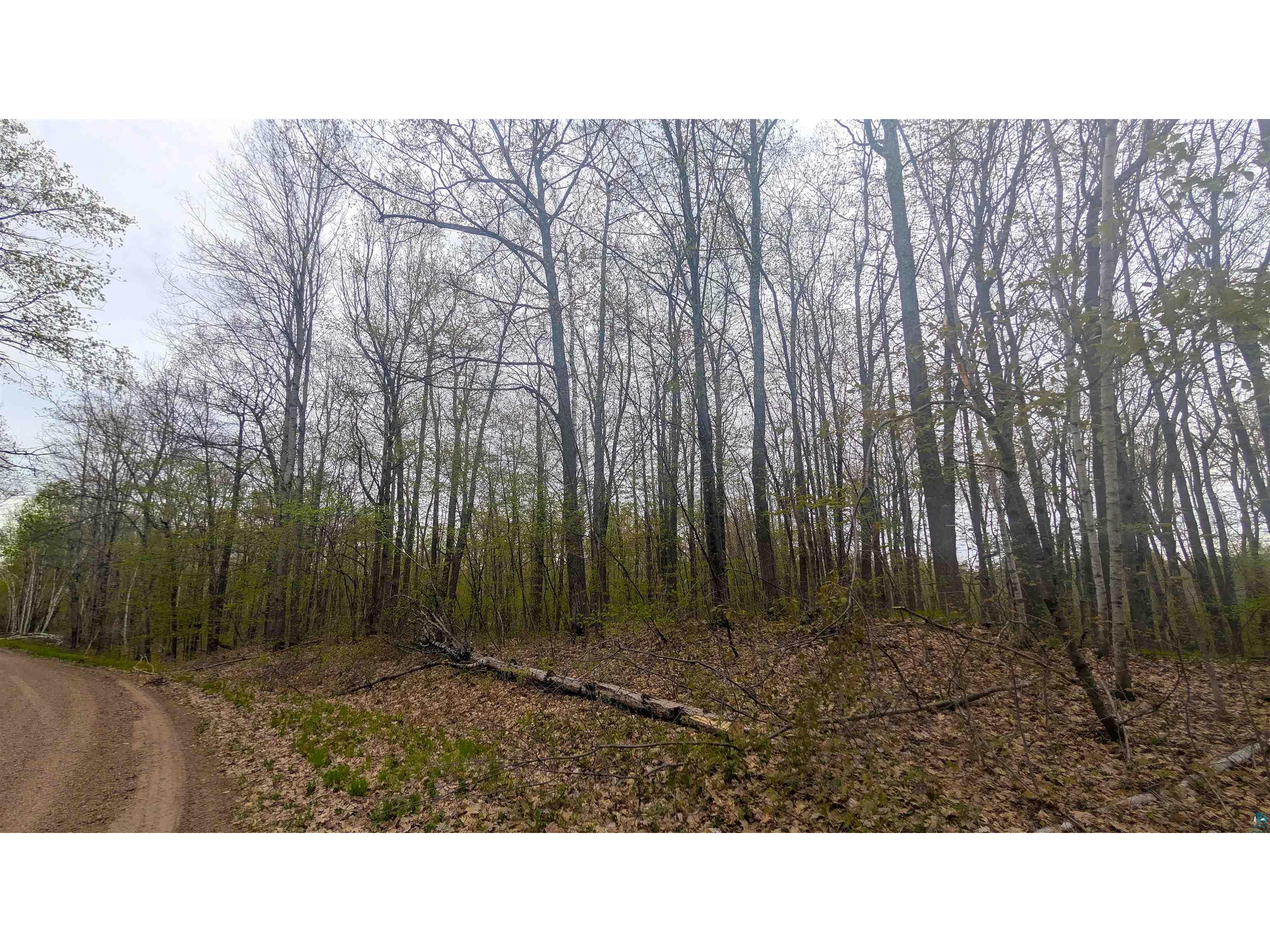 53XXN Basswood Lane Stone Lake WI 54876 6125378 image10