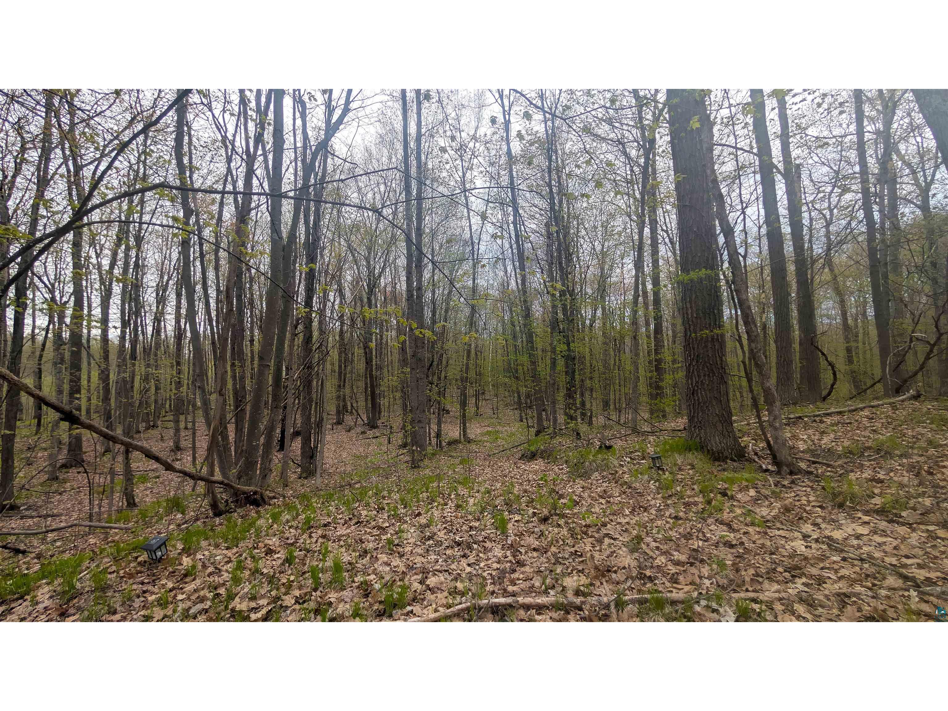 53XXN Basswood Lane Stone Lake WI 54876 6125378 image8