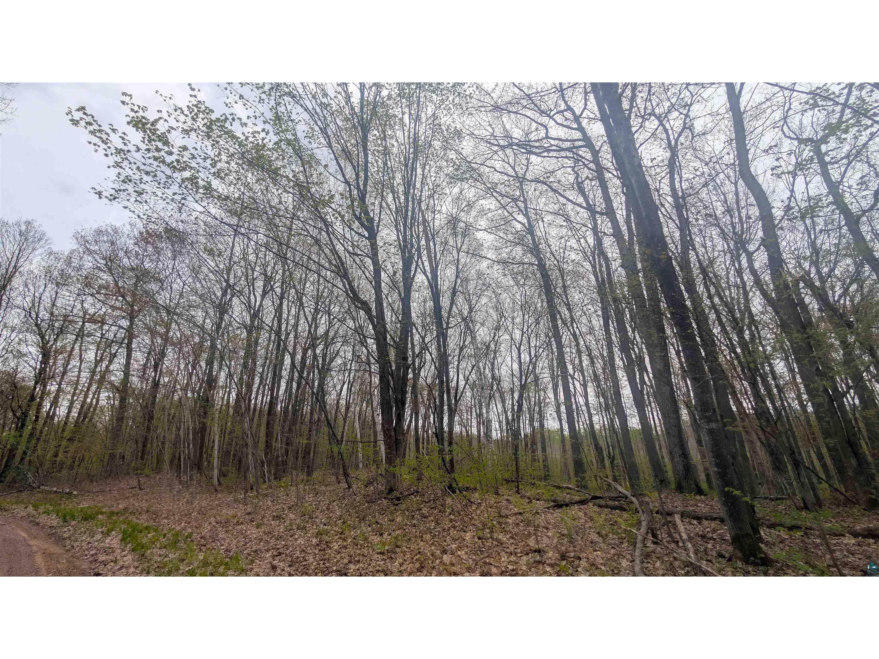 53XXN Basswood Lane Stone Lake WI 54876 6125378 image9