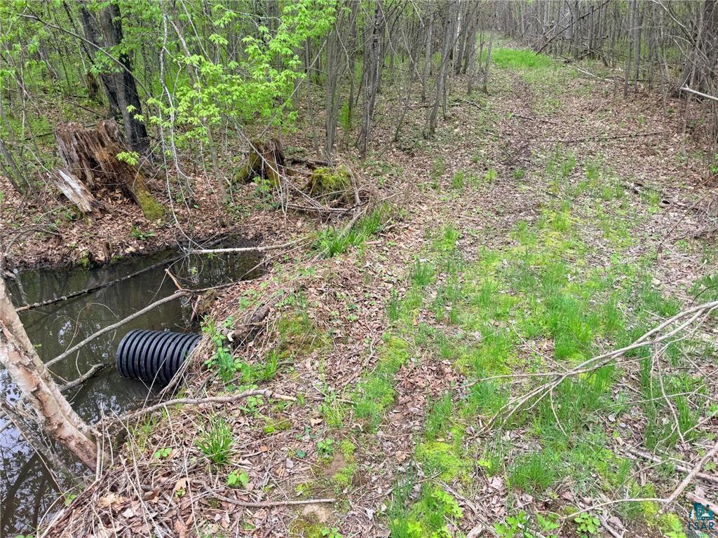 54003 Dollar Lake Rd Sandstone MN 55072 6125832 image17