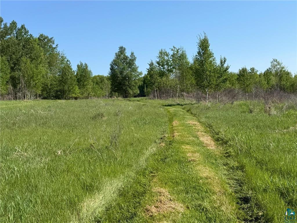 54003 Dollar Lake Rd Sandstone MN 55072 6125832 image18