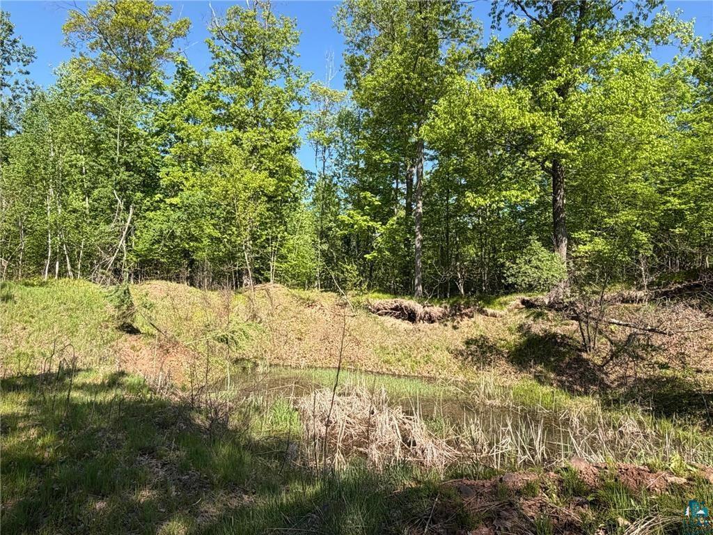 54003 Dollar Lake Rd Sandstone MN 55072 6125832 image19