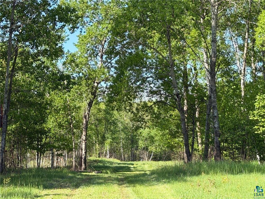 54003 Dollar Lake Rd Sandstone MN 55072 6125832 image2