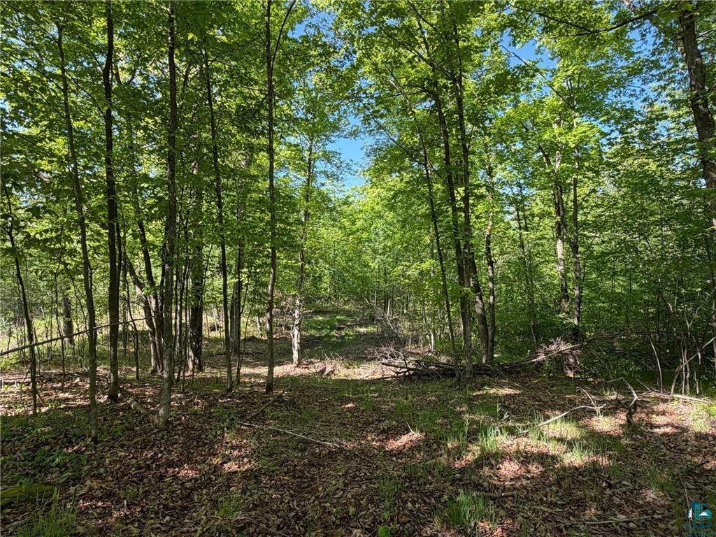 54003 Dollar Lake Rd Sandstone MN 55072 6125832 image20
